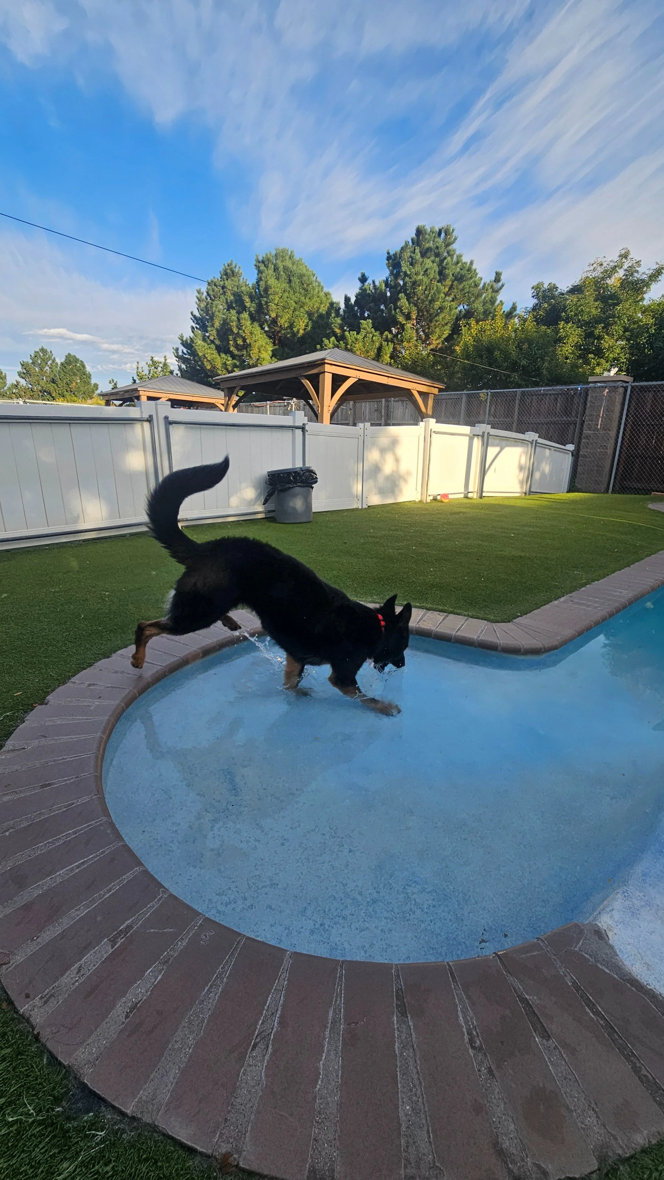 Everyday is pool day!