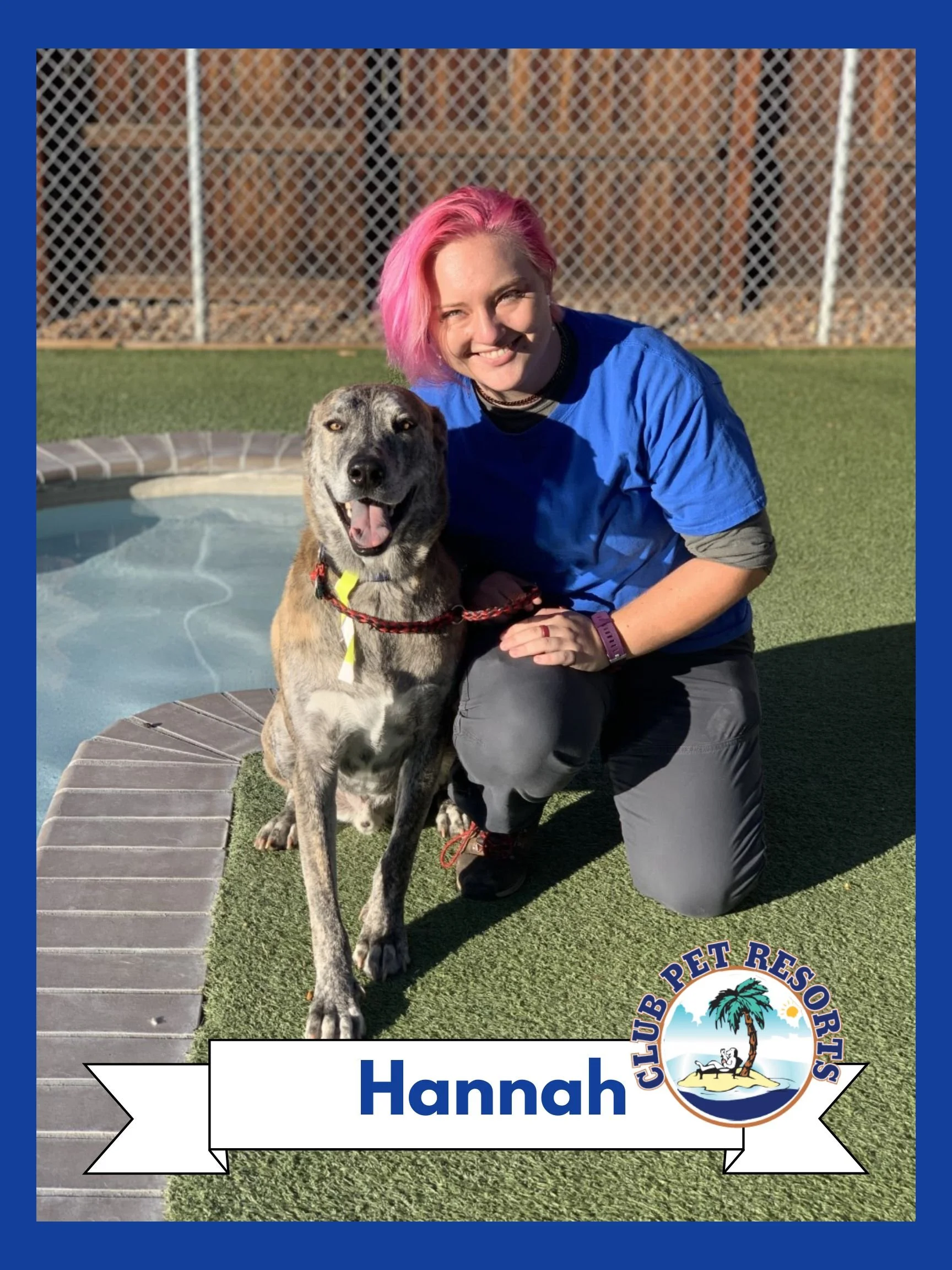 About — Club Pet Resorts