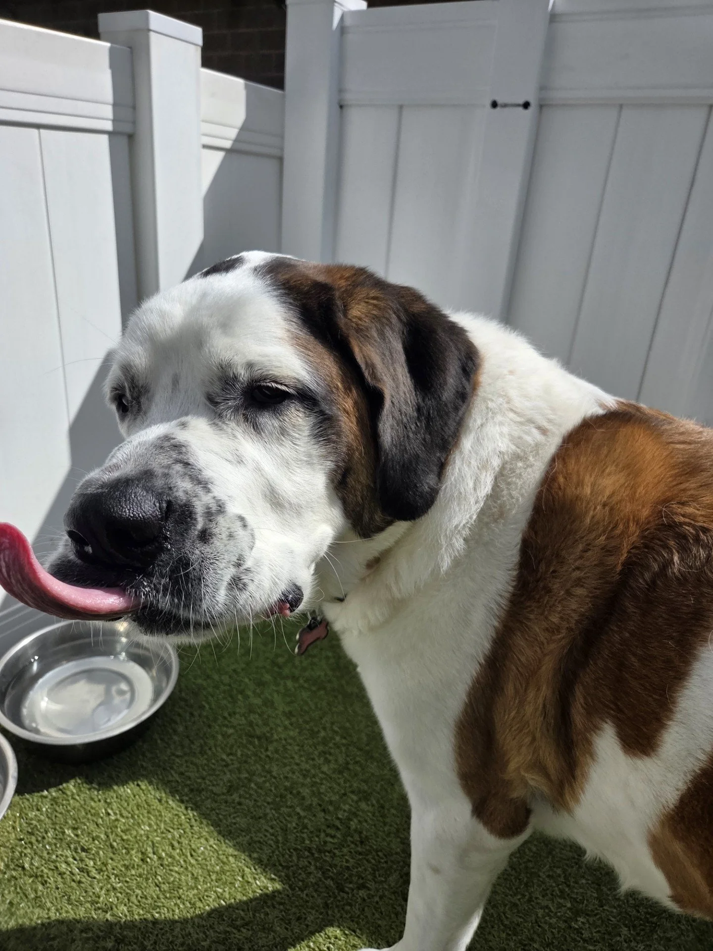 A refreshing drink on a hot day