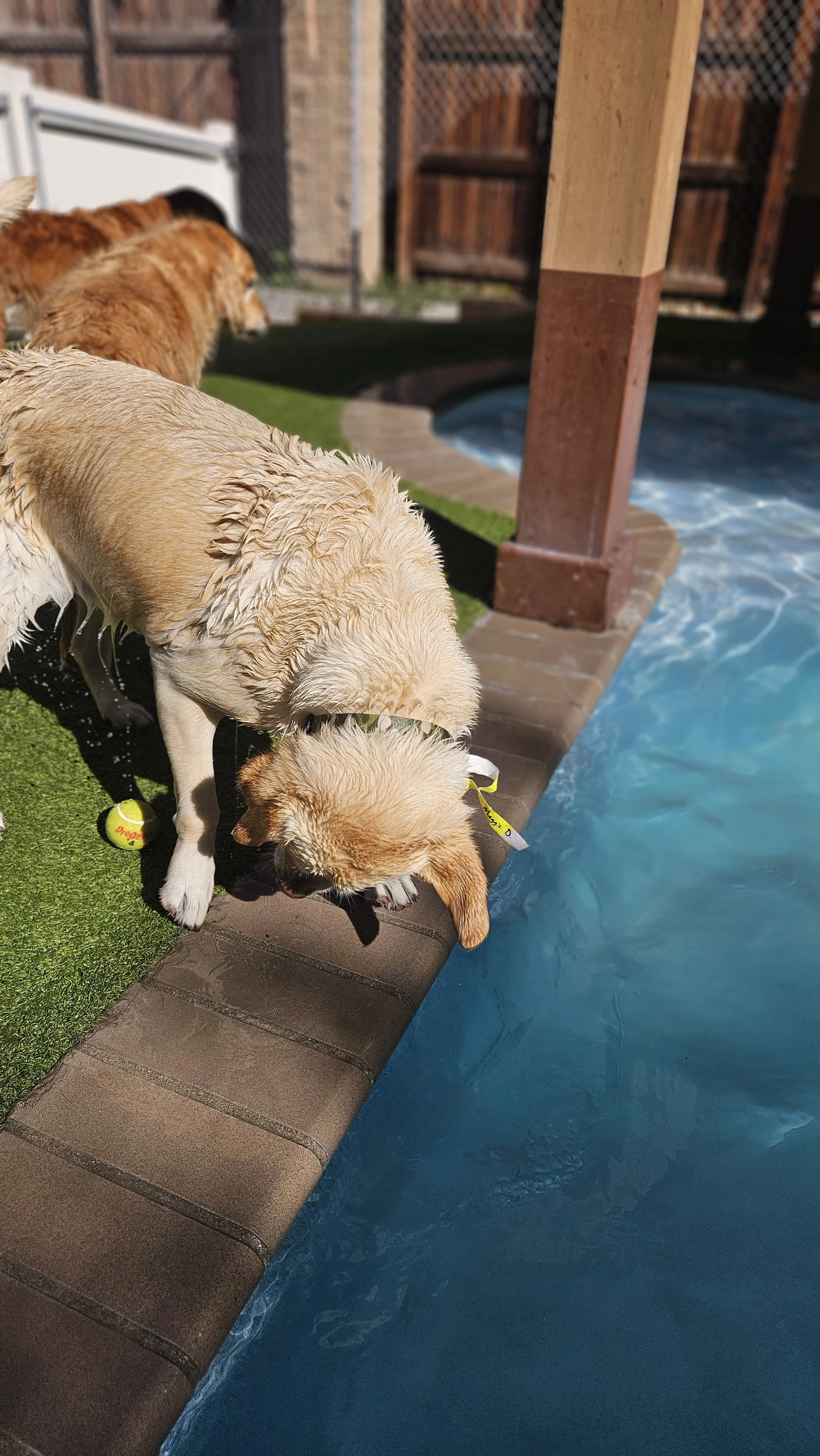 What the heck?! Is that... A pool?!