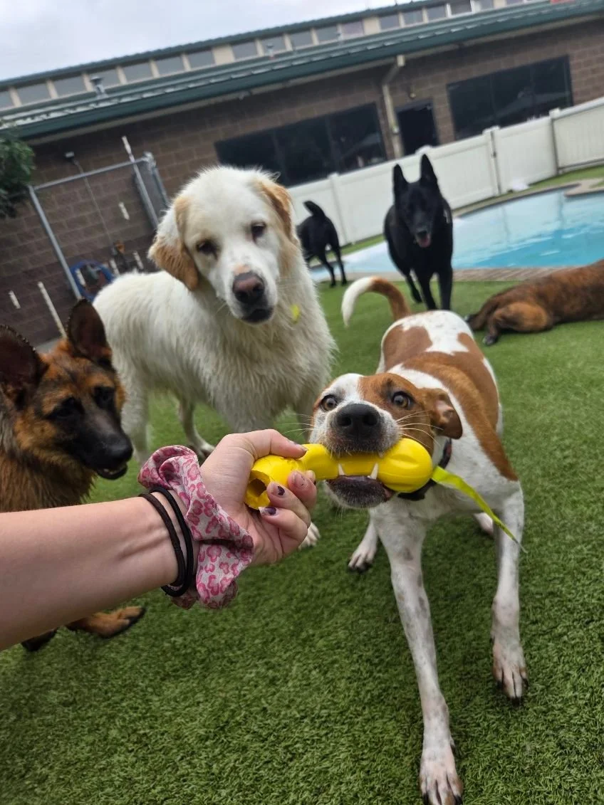 Sharing is caring!