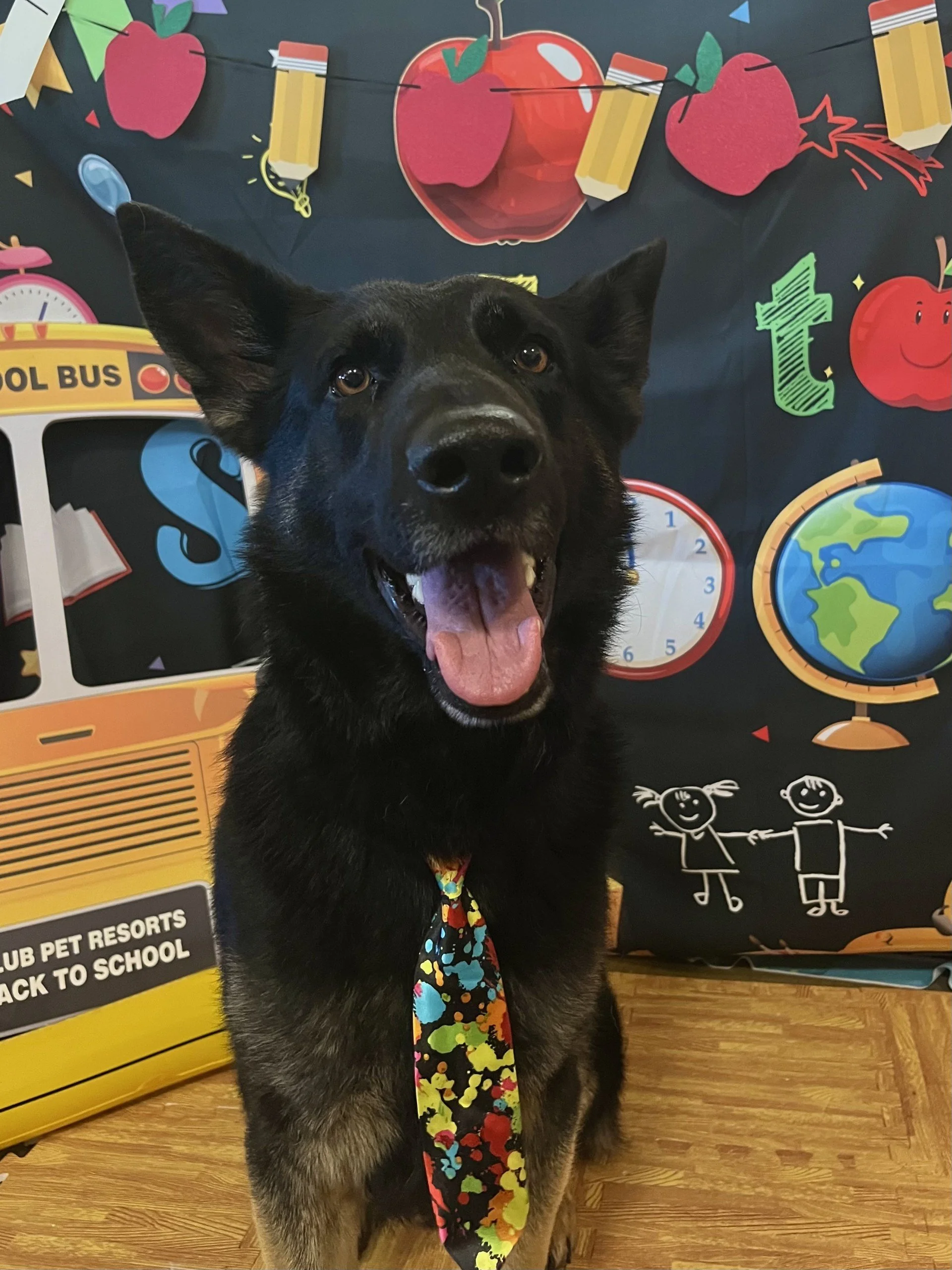 What a dapper gentleman!