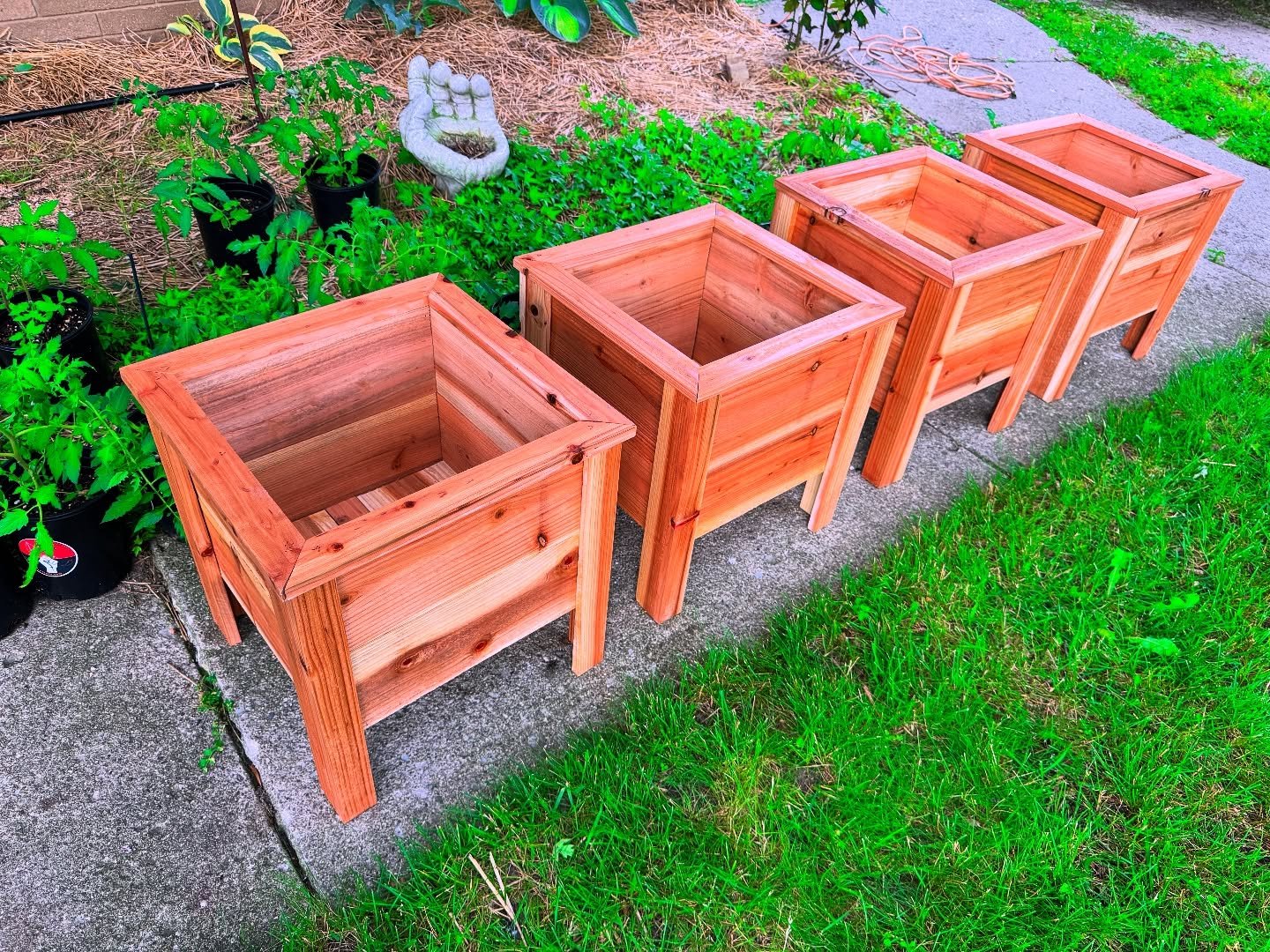 Cedar Plant Boxes for sale! Hand-crafted by 🌱 The Plant Guys 🌱 and available at historic Eastern Market this Saturday! Also available for pick-up or delivery!*
•
•
•
•
•
•
*Delivery costs extra 😉