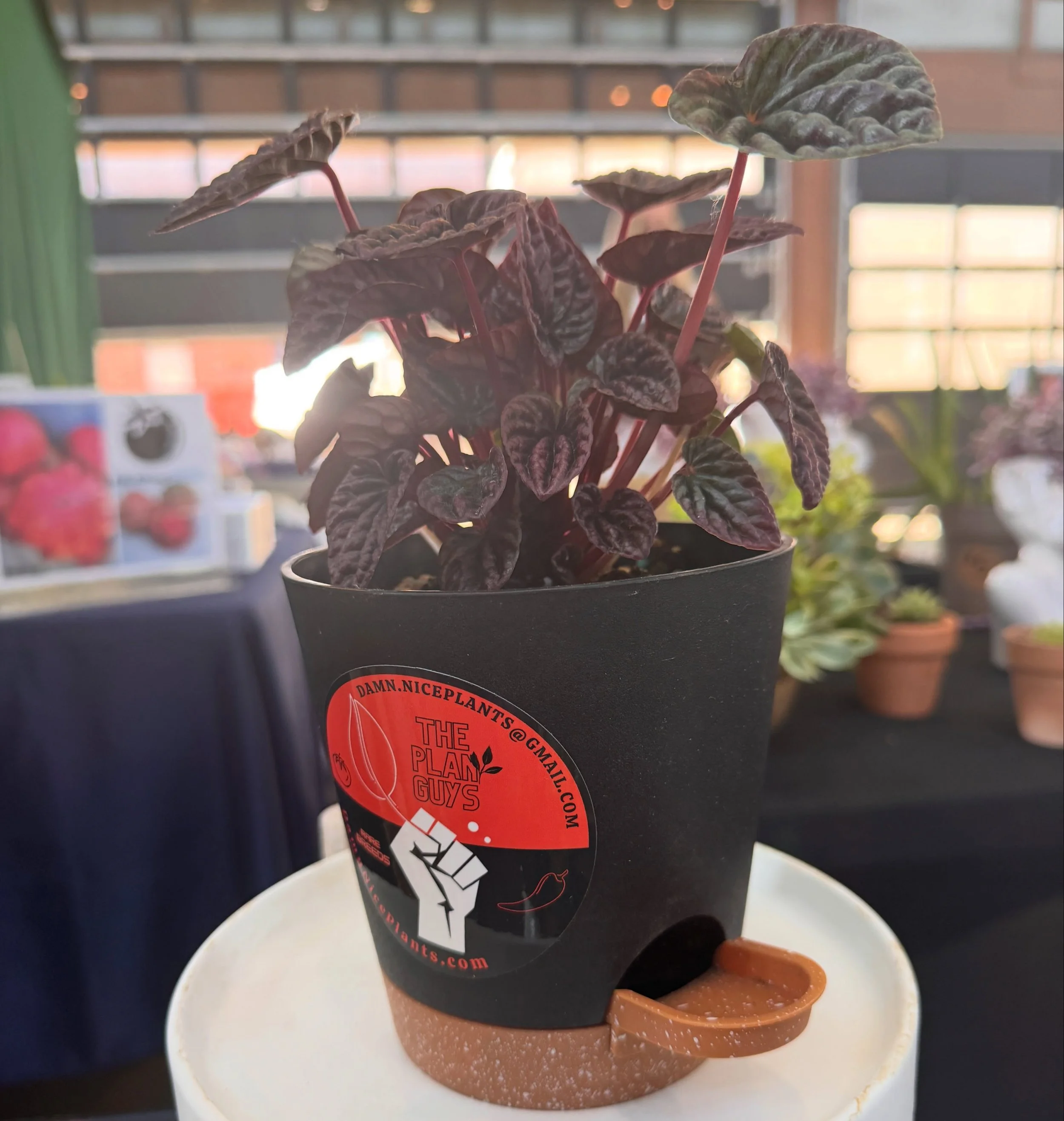 Nothing compliments a delicious and rare pepper like a snazzy houseplant to beauty up your living space year-round! 👨🏻&zwj;🌾 🪴