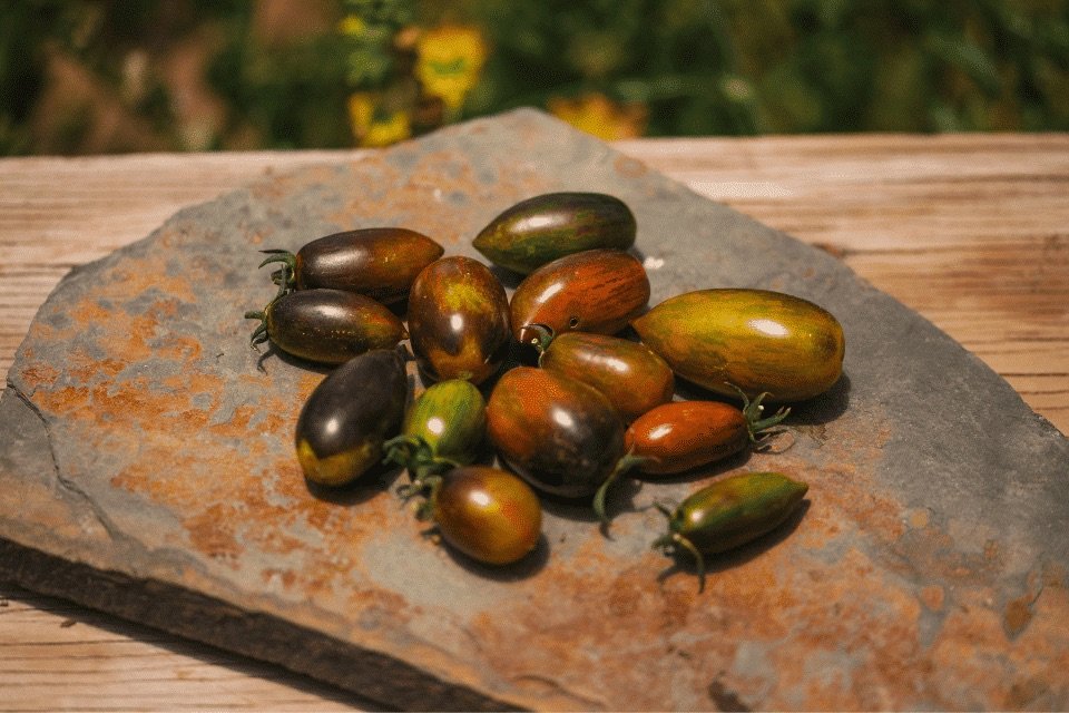 Atomic Grape Tomato