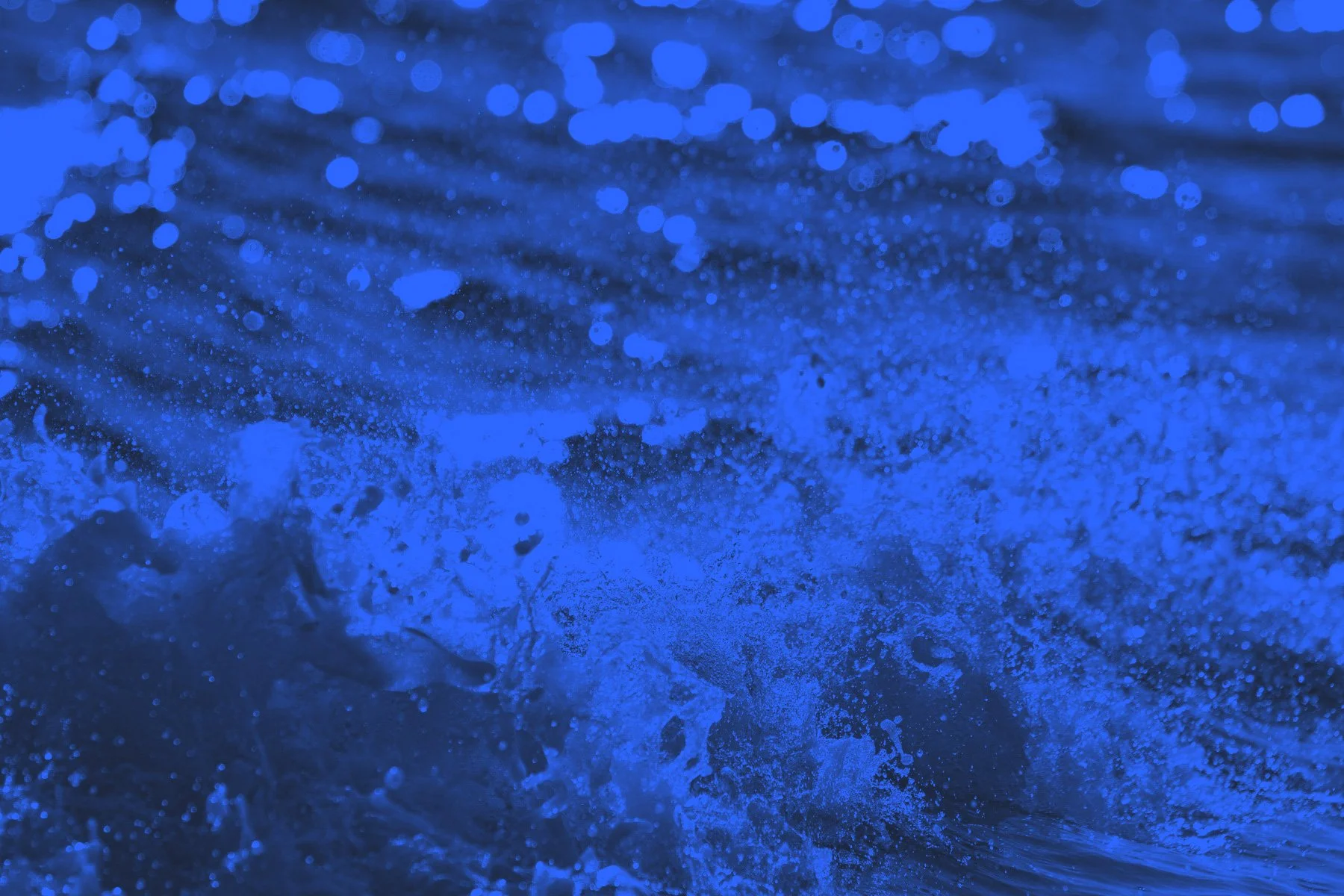 who-we-are-bold-ocean-ventures