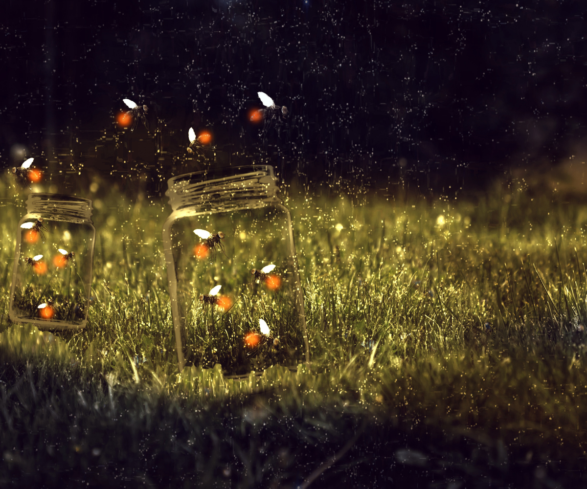fireflies in jar on grass