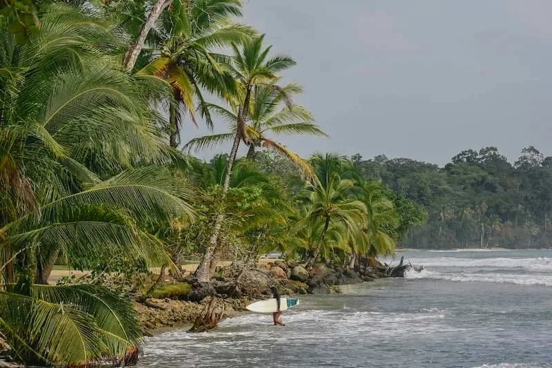 A guest from The Experience Surf Camp carries their surfboard into the ocean along a lush jungle coastline in Panama.