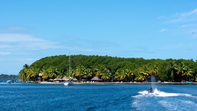 Island-Vibe-Opt.jpg