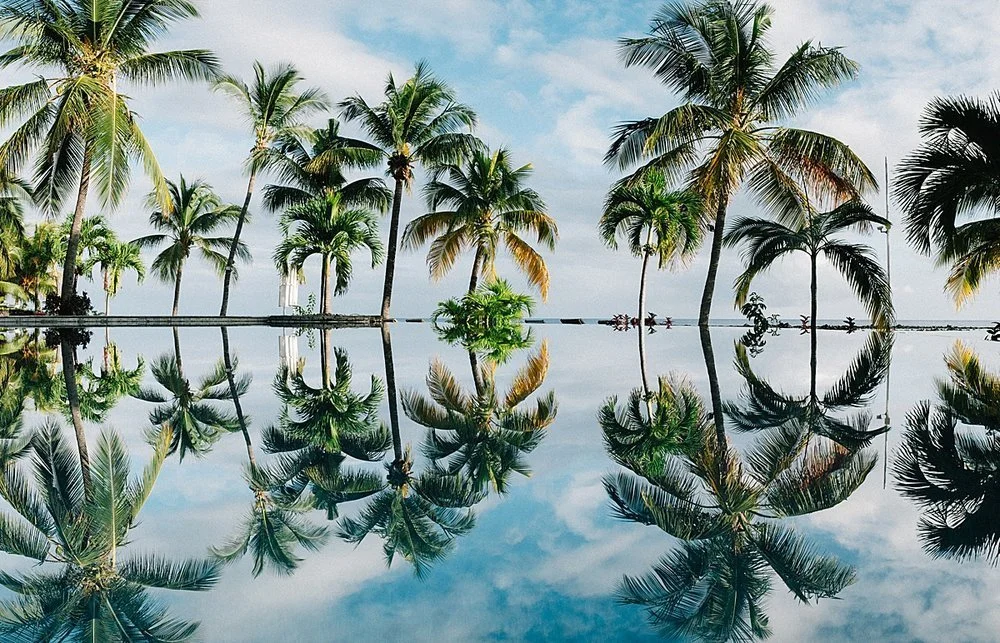 Best+Travel+Agent+Tropical_0945.jpg