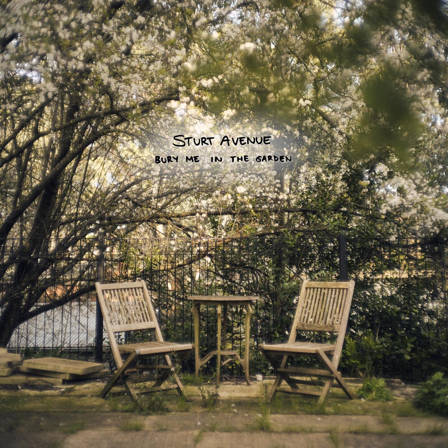 Happy release day @sturtavenue ! Their Album &lsquo;Bury Me in the Garden&rsquo; is out now! ✨🪴&thinsp;&thinsp;
&thinsp;&thinsp;
&lsquo;Bury Me in the Garden&rsquo; is a musical masterpiece that showcases Sturt Avenue&rsquo;s versatility. The album 