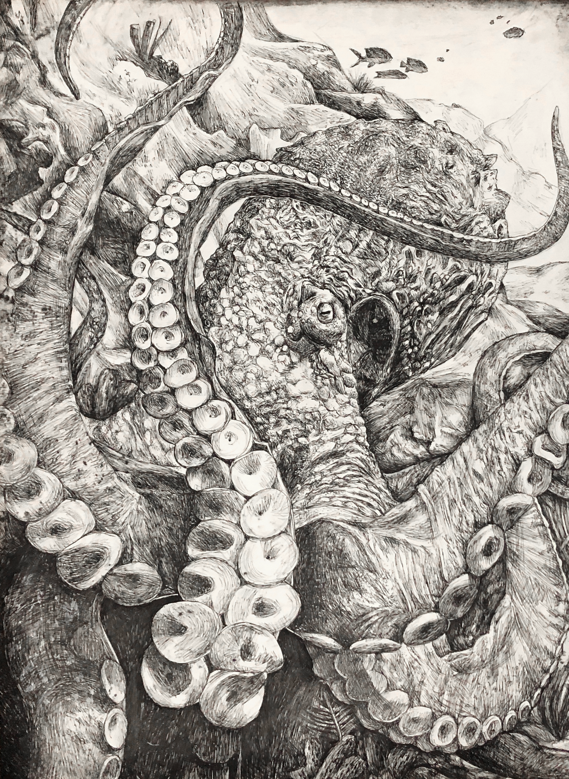 Octopus's Garden, 2019