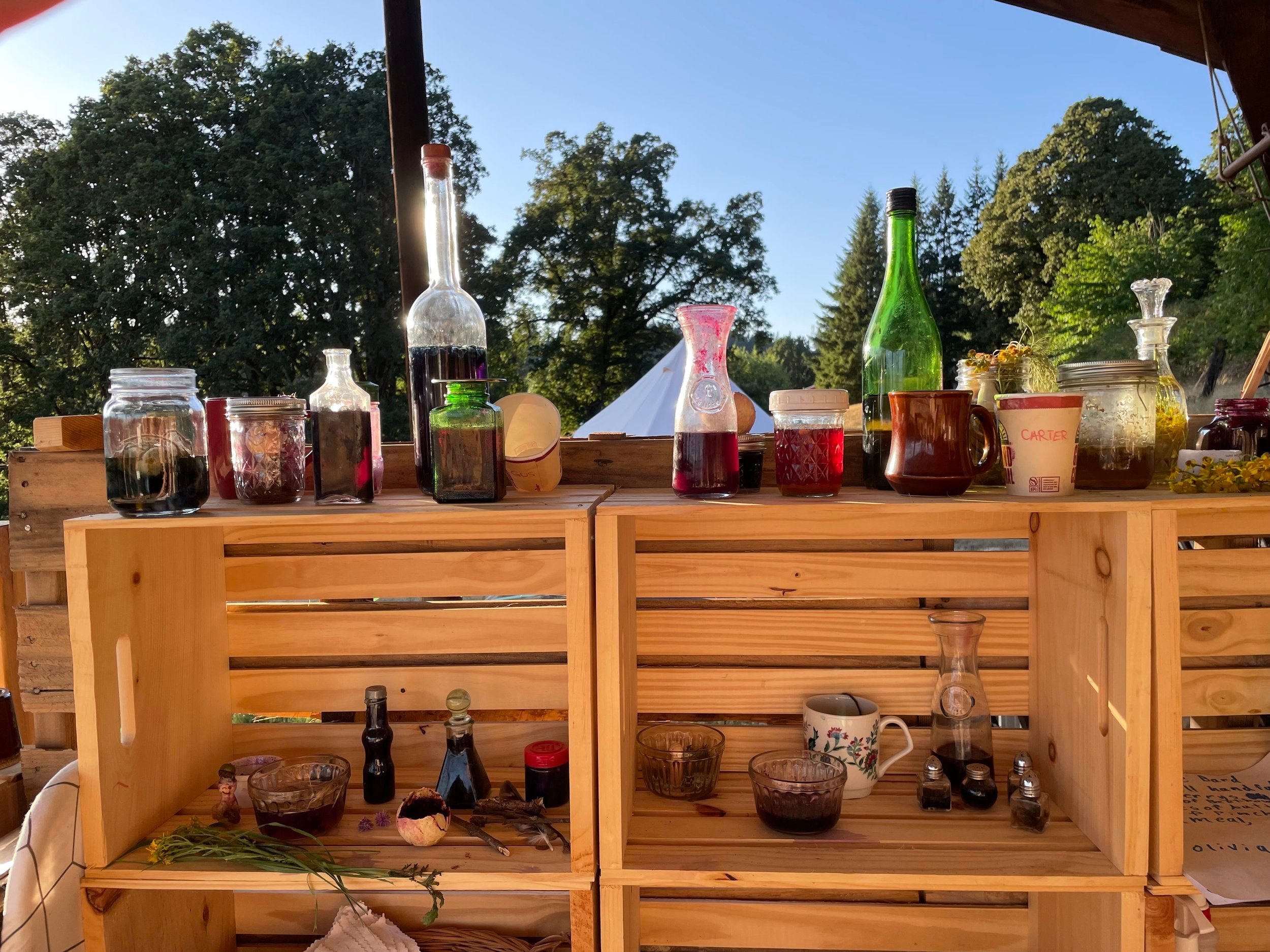 Forest Lab: Exploring Chemistry in Nature (June 22-26; 9am-3pm daily)