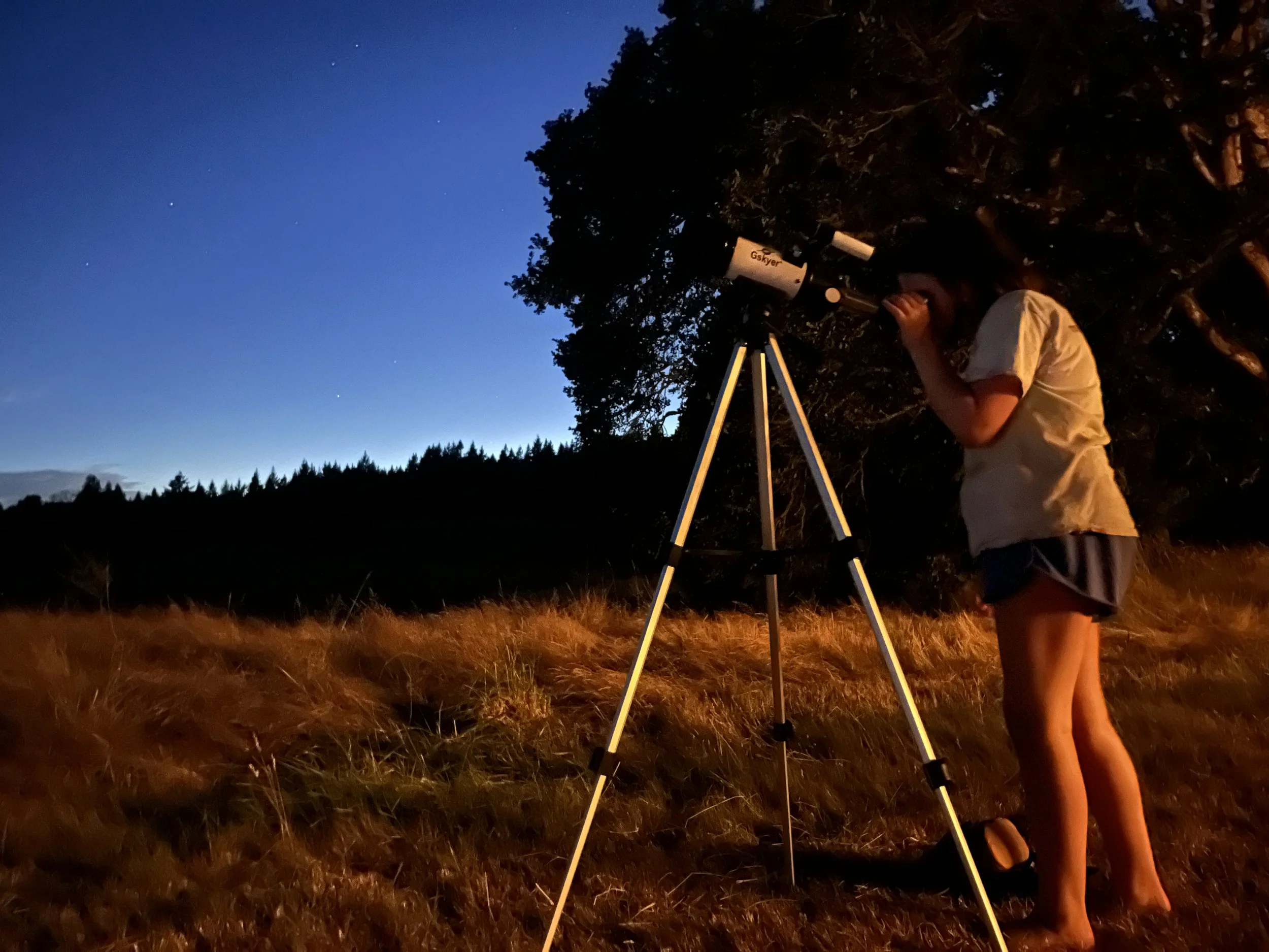 Forest Sleepover (July 17-18)