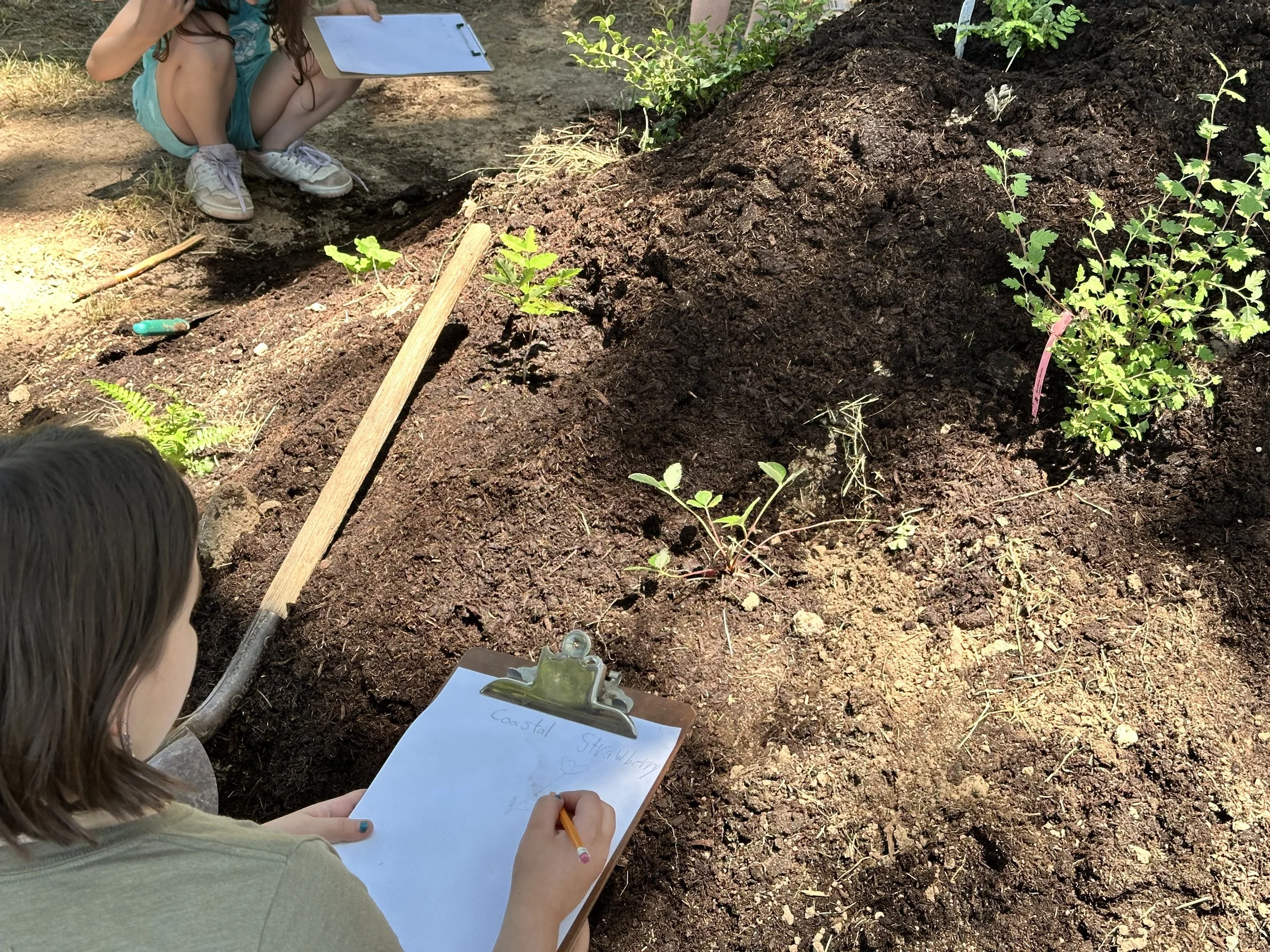 Active Stewardship: Caring for our Living Earth