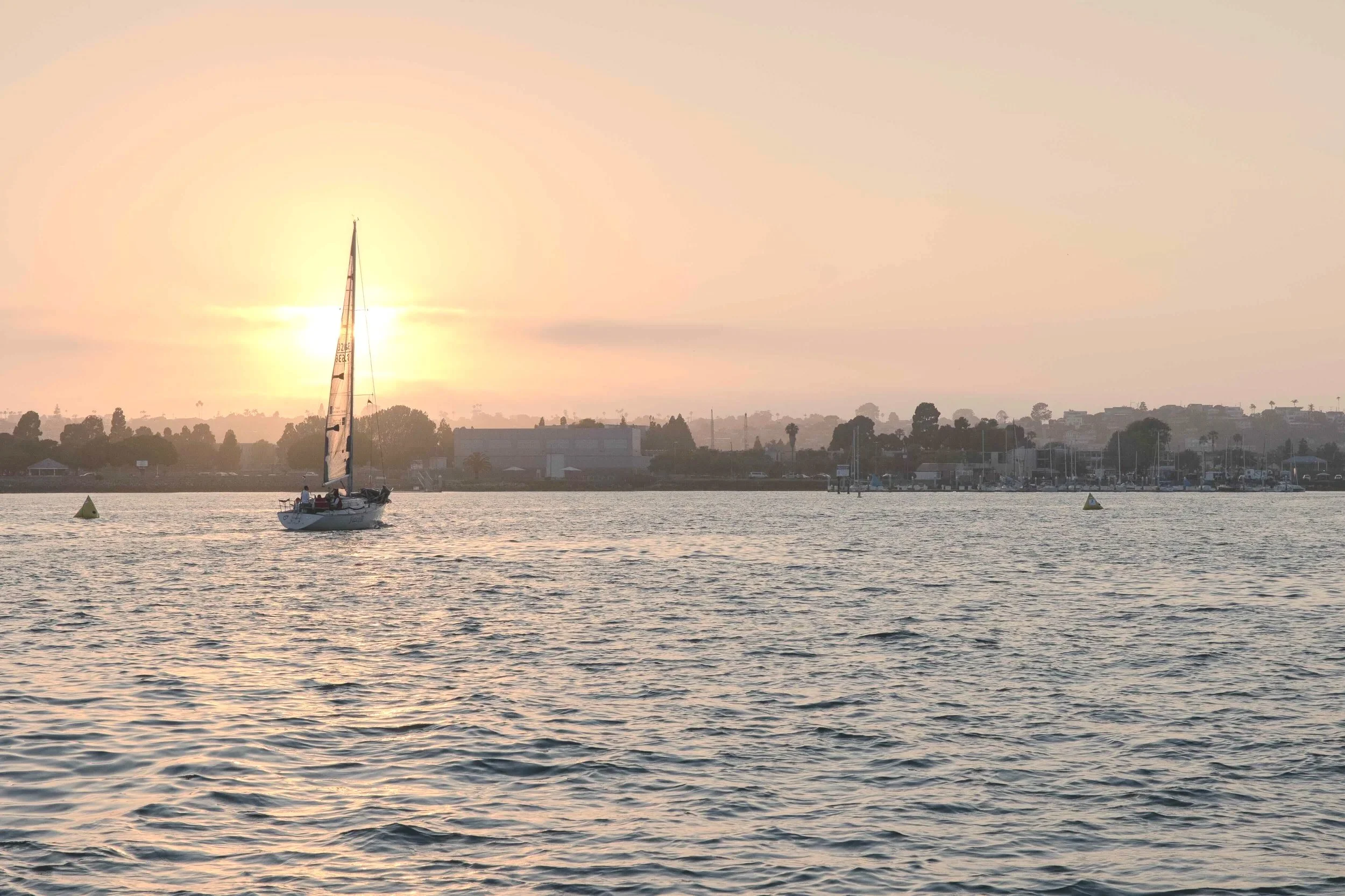 Ringmasters Summer Sailing Soiree
