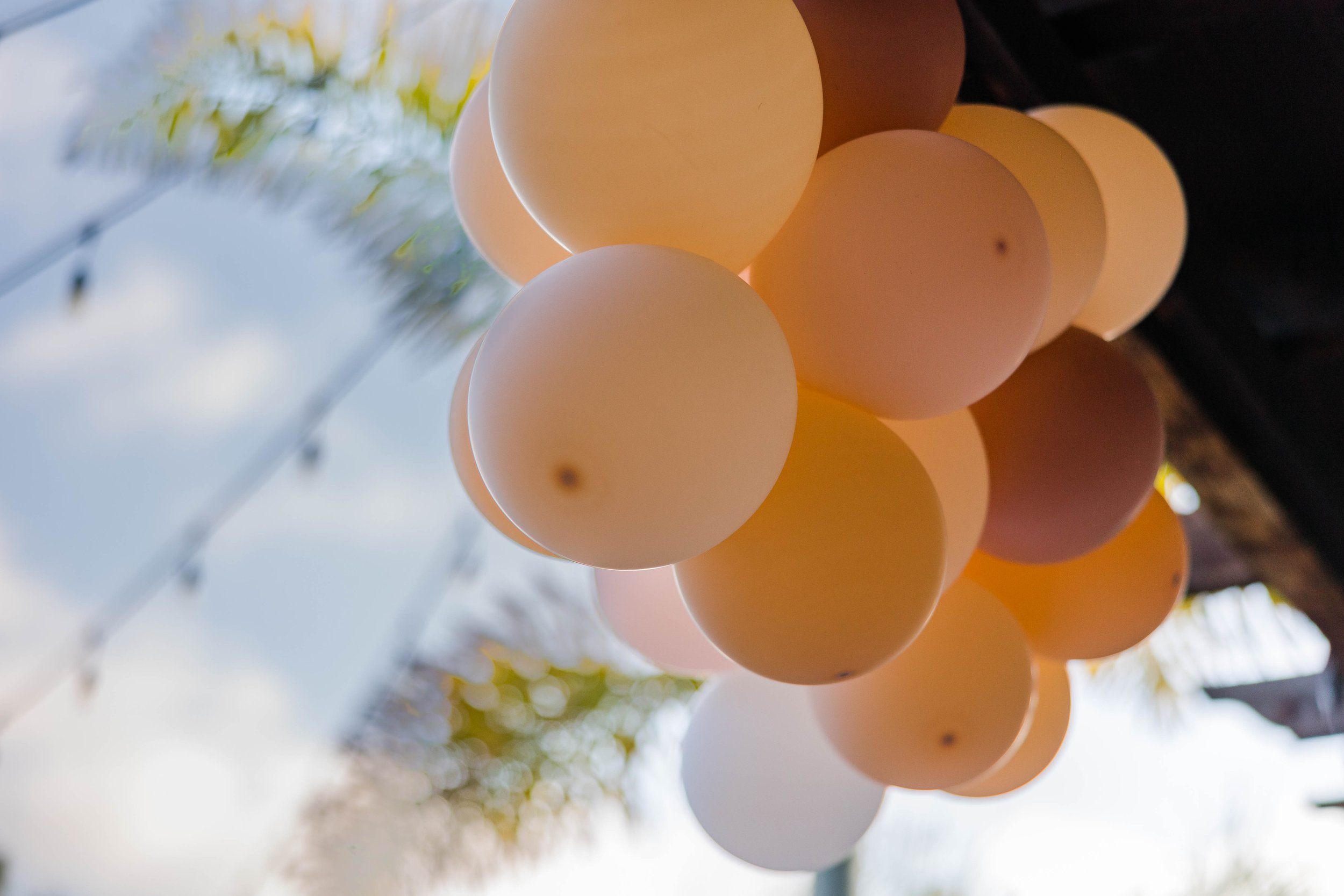 orang and white balloons