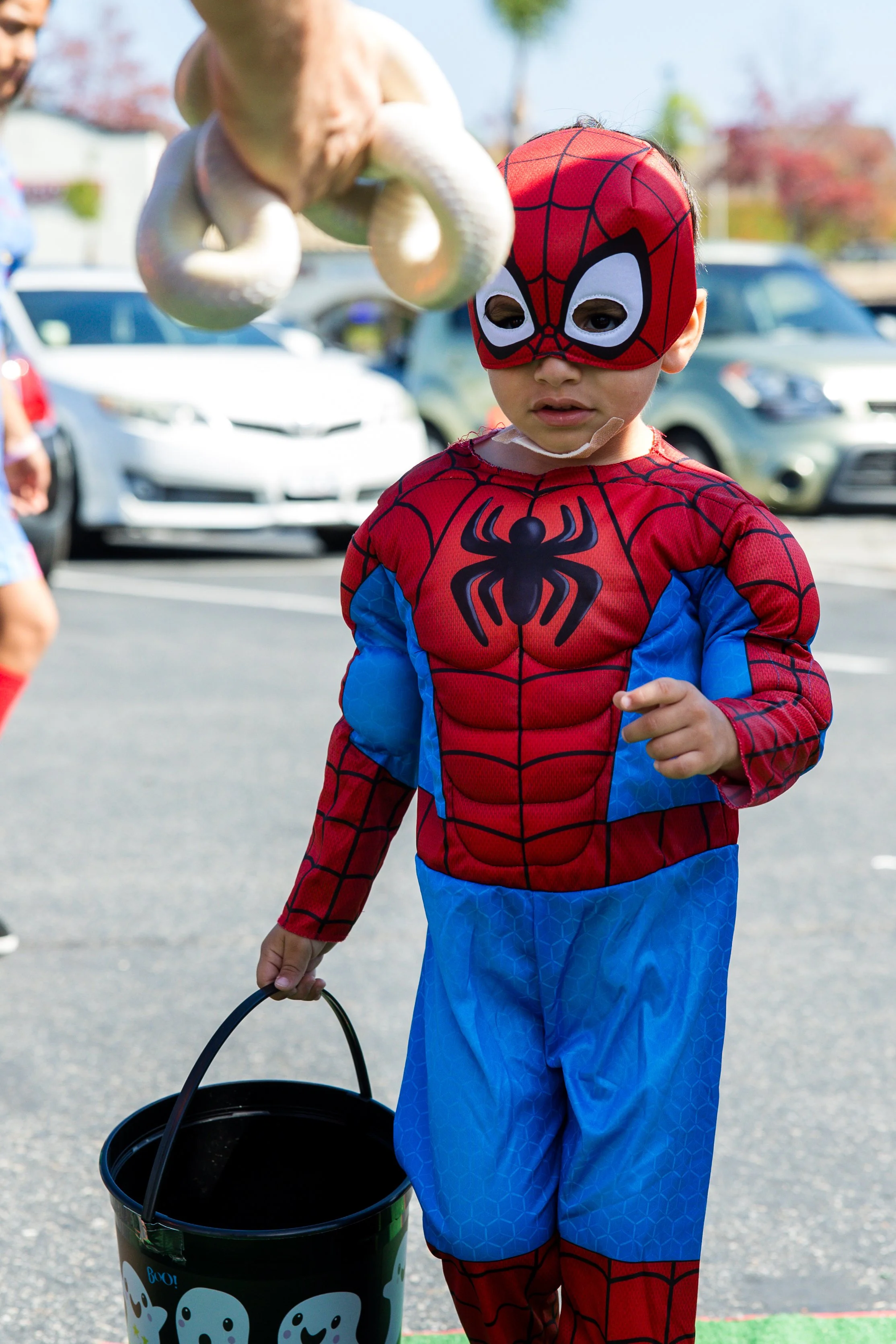 Spiderman costume little boy