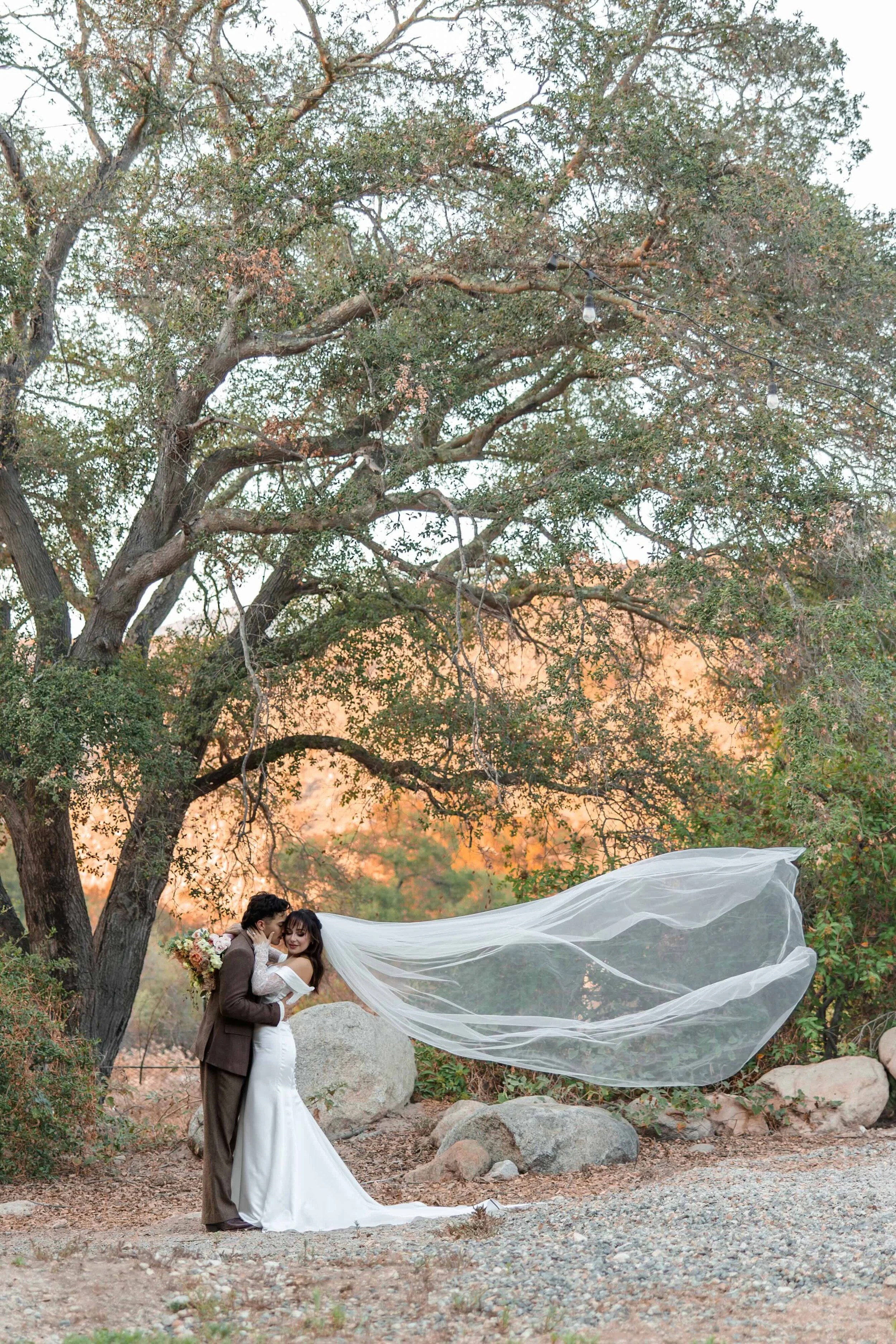 bride groom hugging near tree mountains