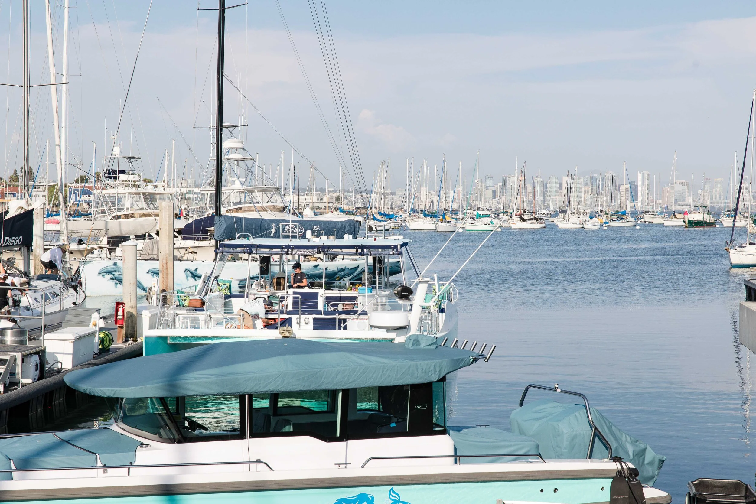 San Diego sailing bay
