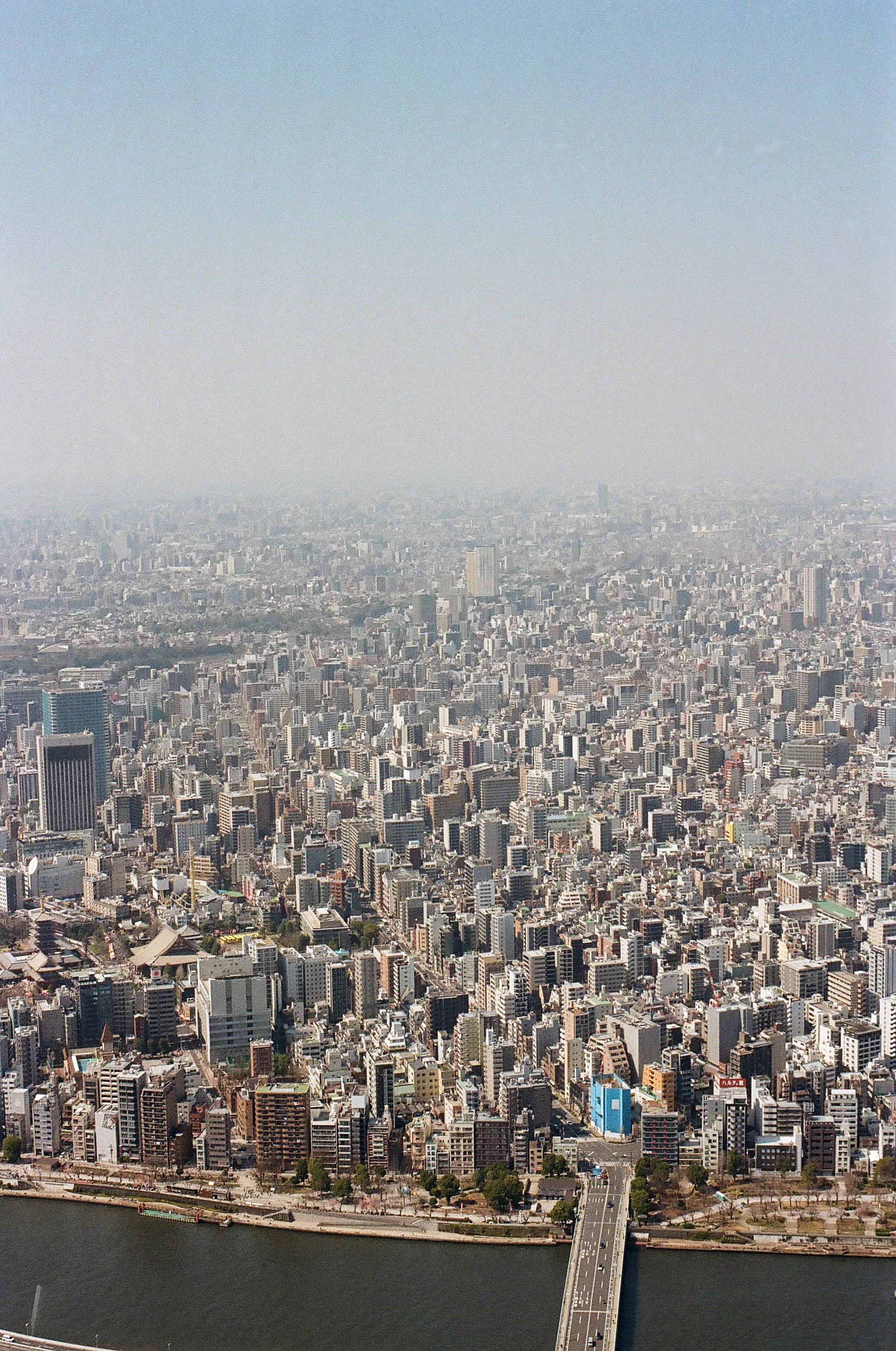 film_japan_2025_3.jpg