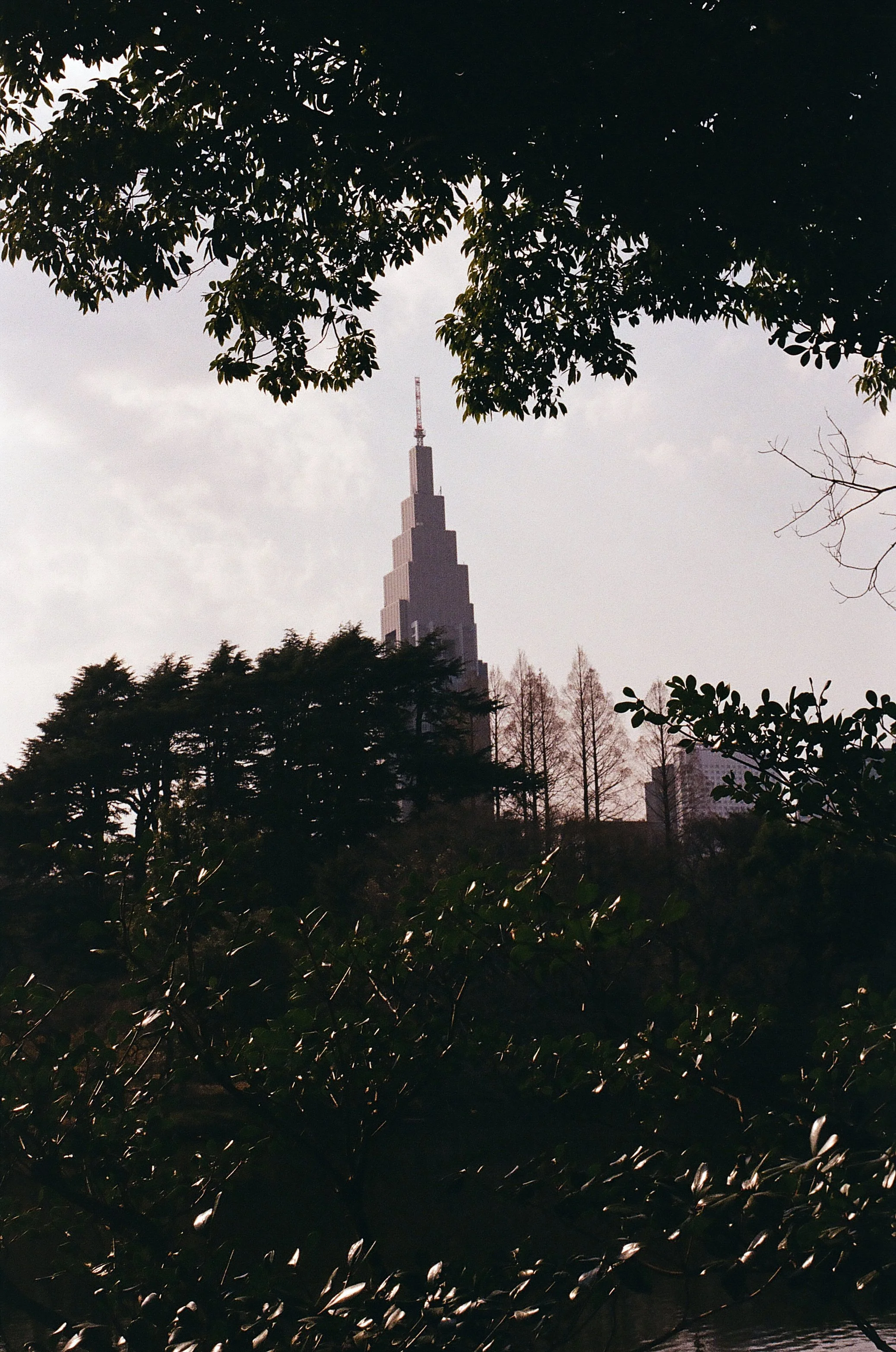 film_japan_2025_31.jpg