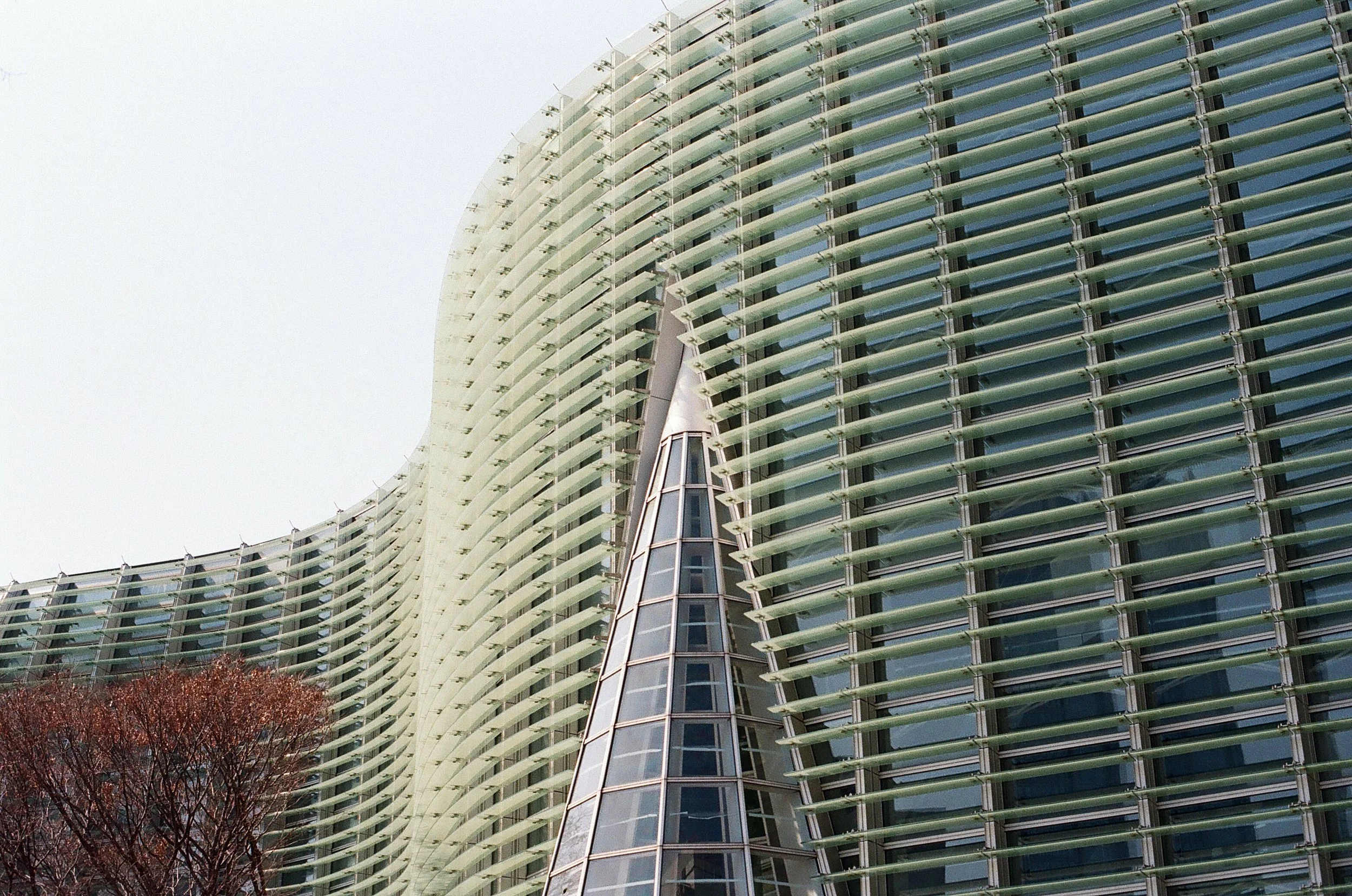 film_japan_2025_17.jpg
