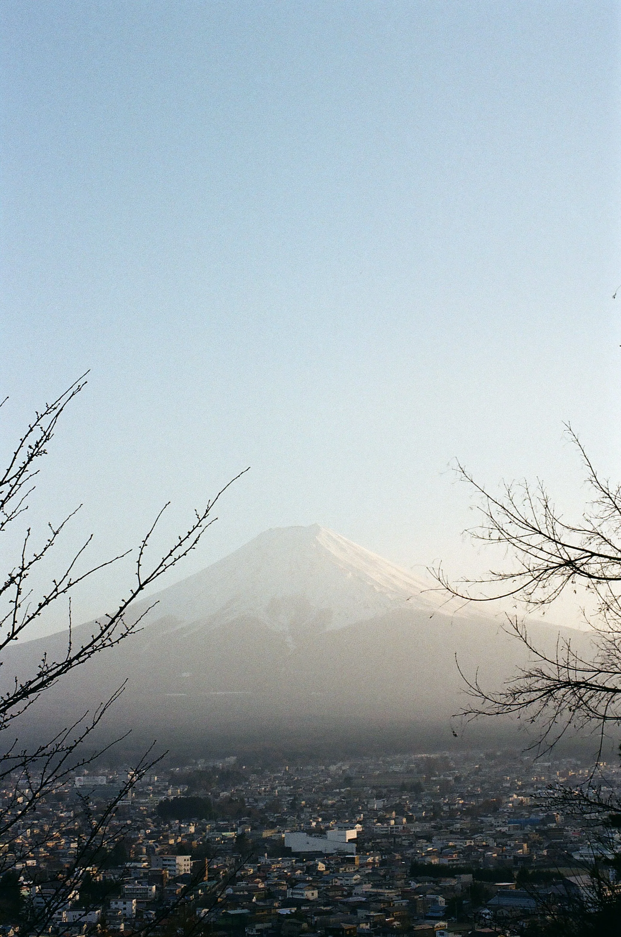 film_japan_2025_63.jpg