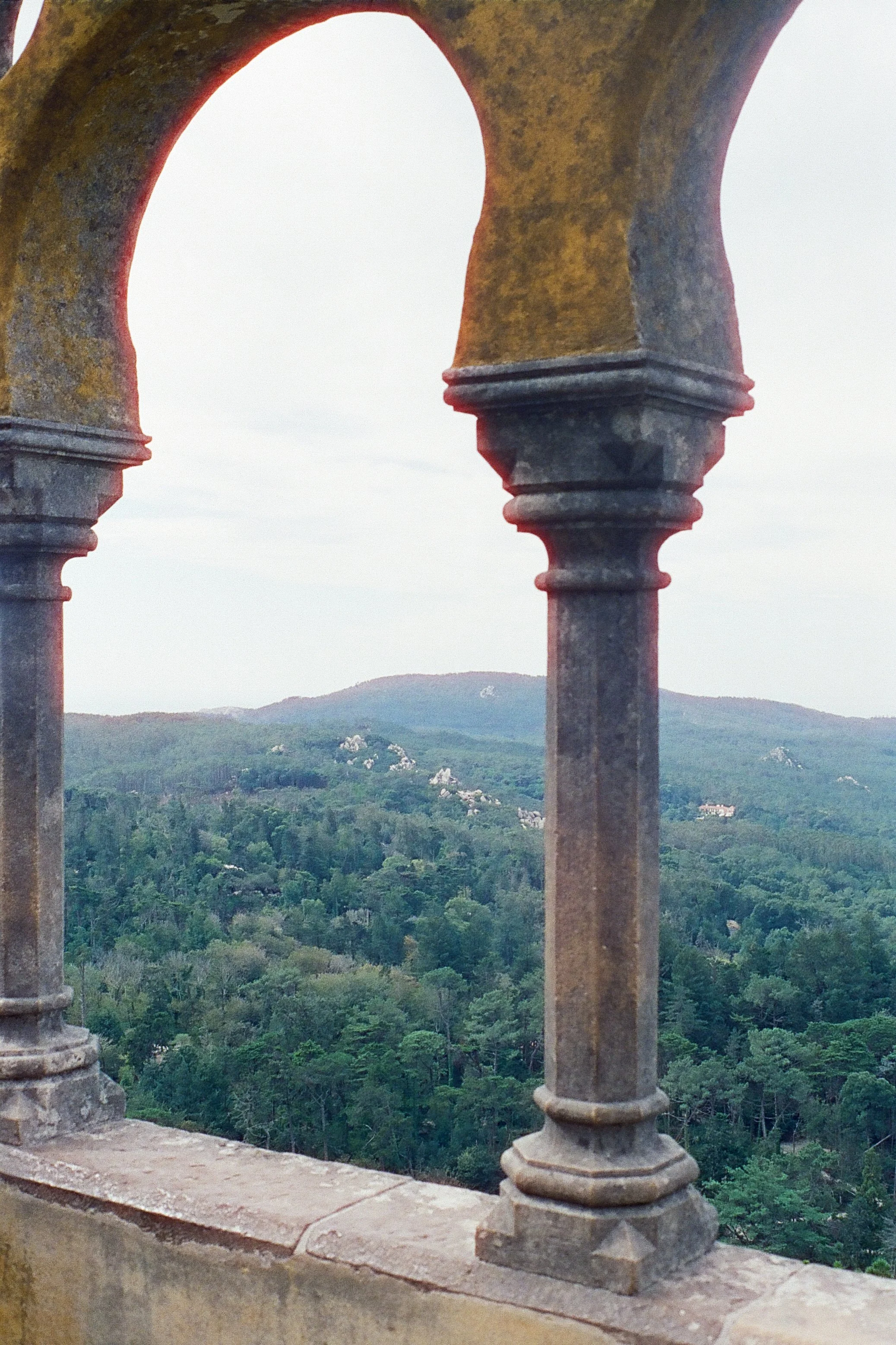 film_camino_2025_12.jpg