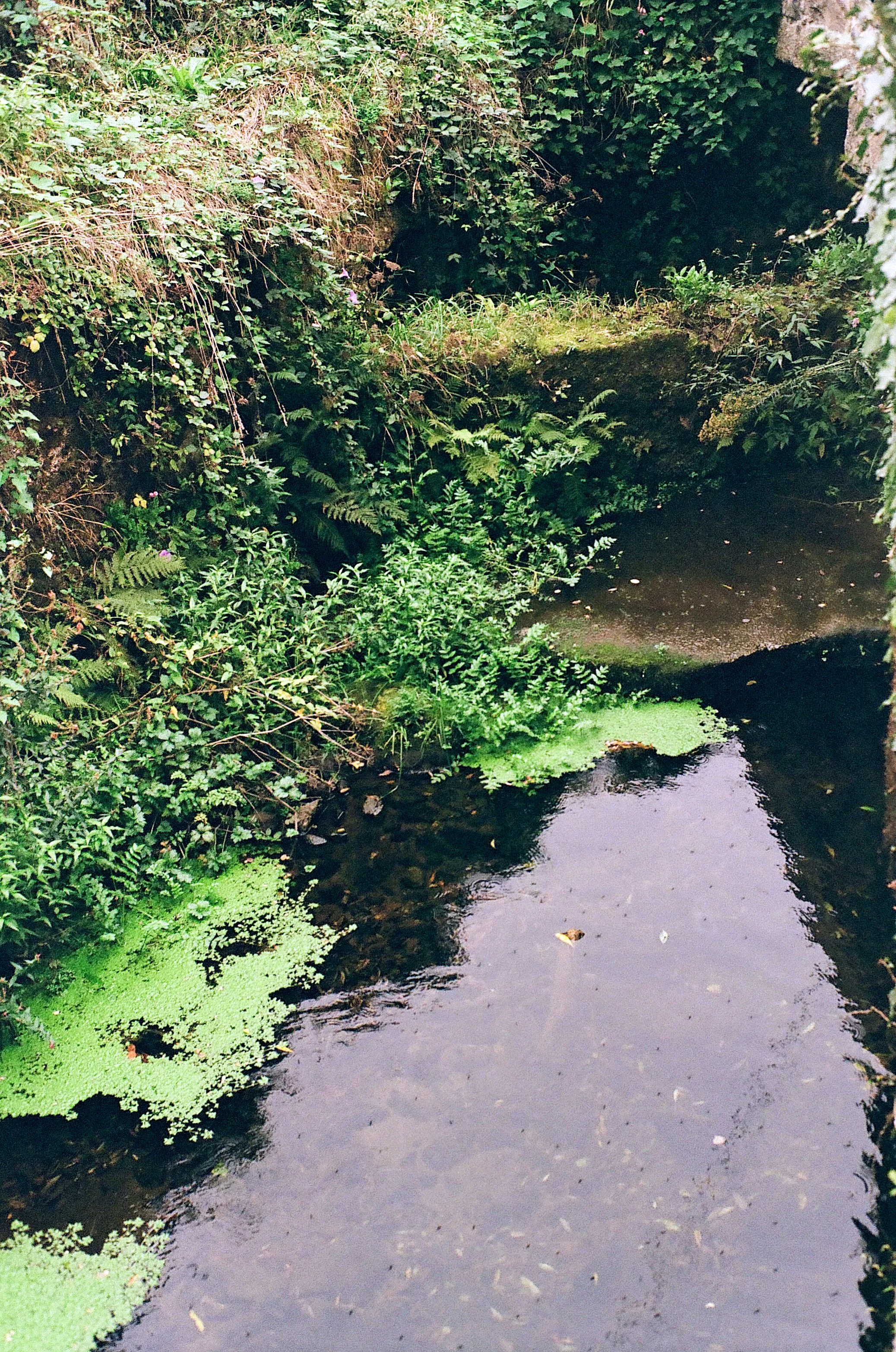 film_camino_2025_7.jpg