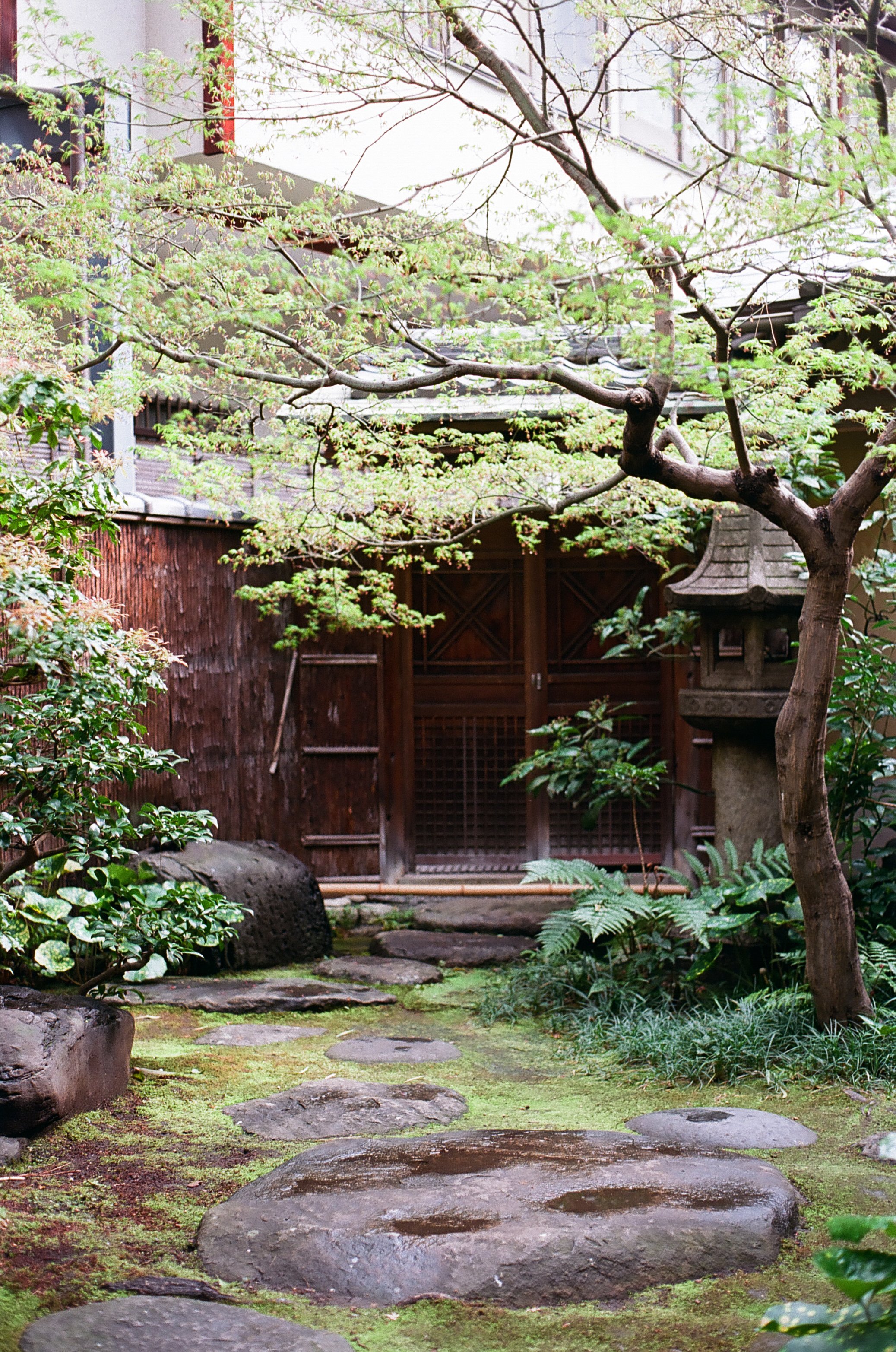 film_japan_2025_22.jpg