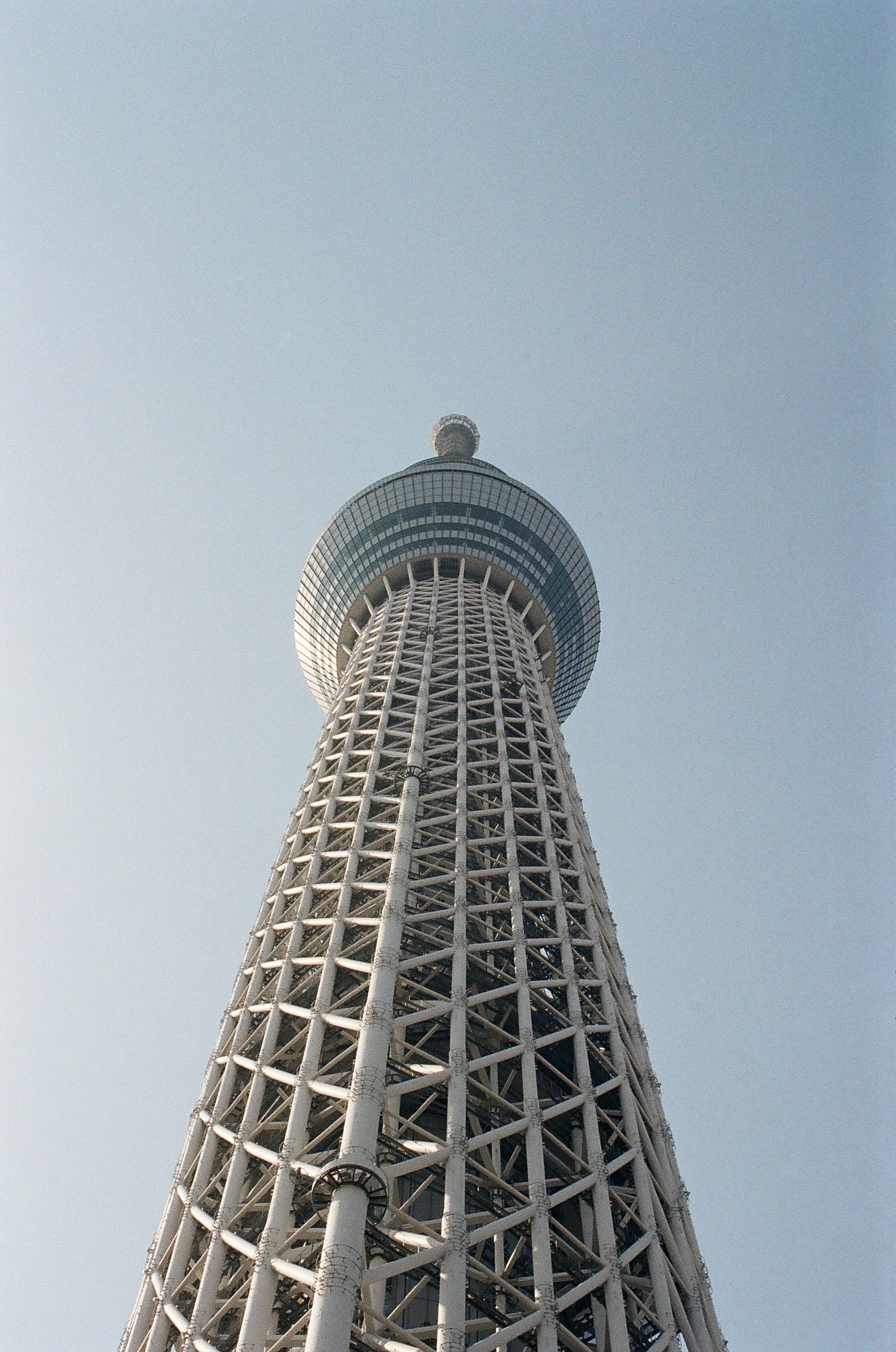 film_japan_2025_5.jpg