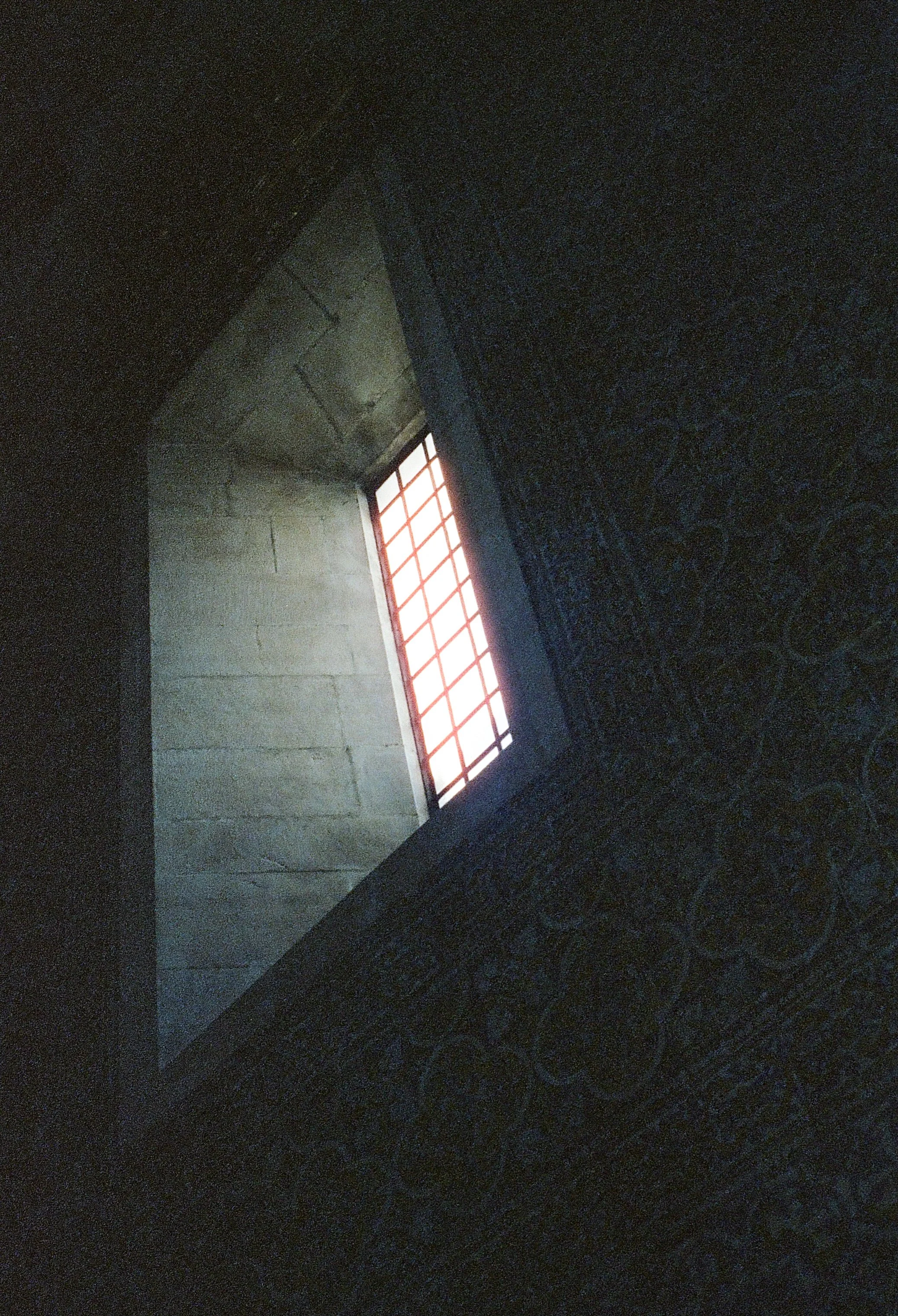 film_camino_2025_66.jpg