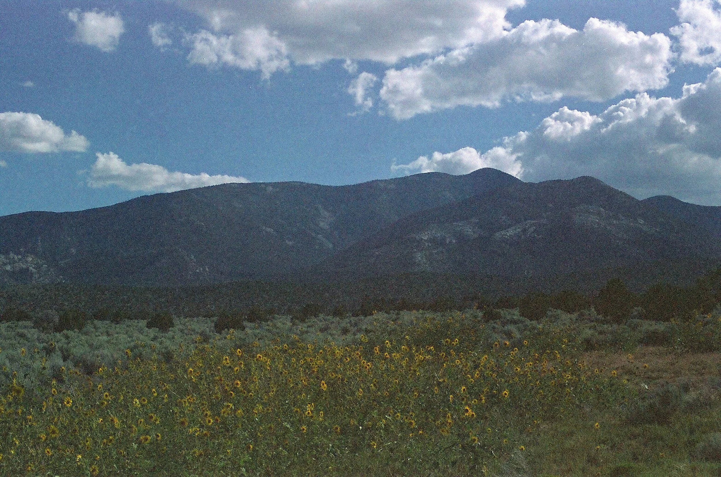 film_gbnp_2023_3.jpg