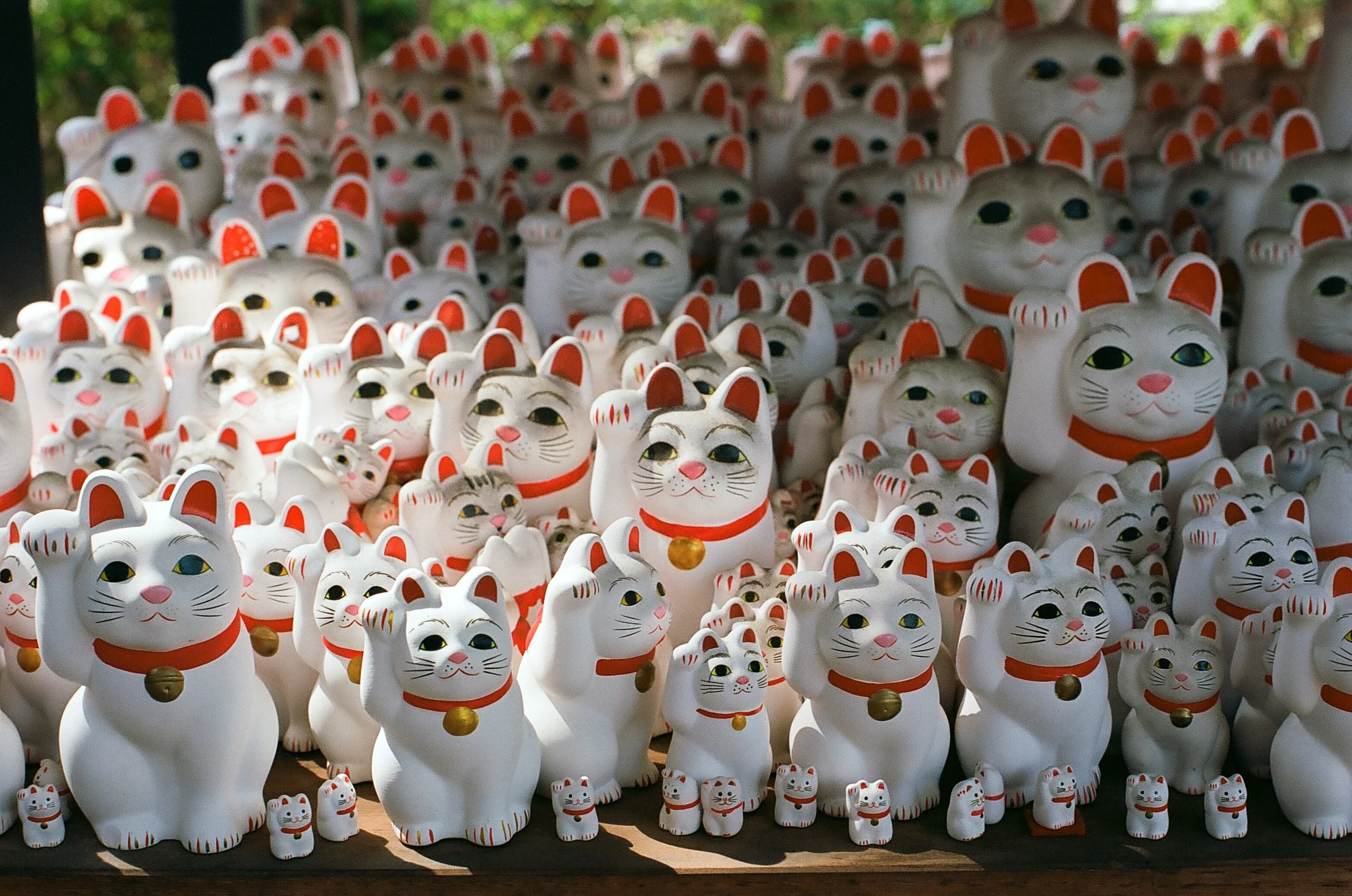 film_japan_2025_62.jpg