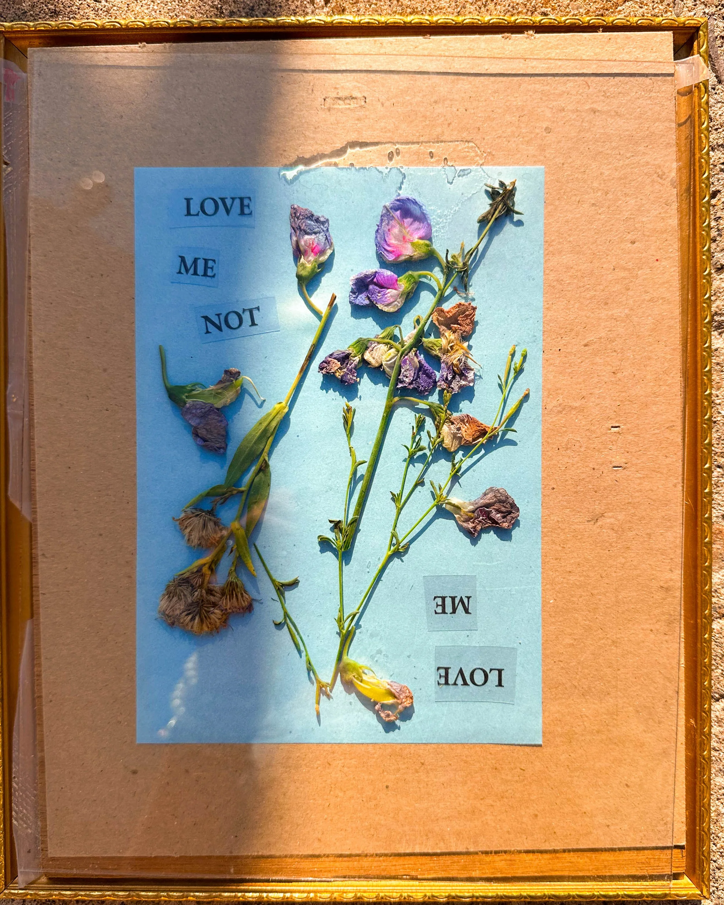 twibwmii_camryn maher_2023.jpg