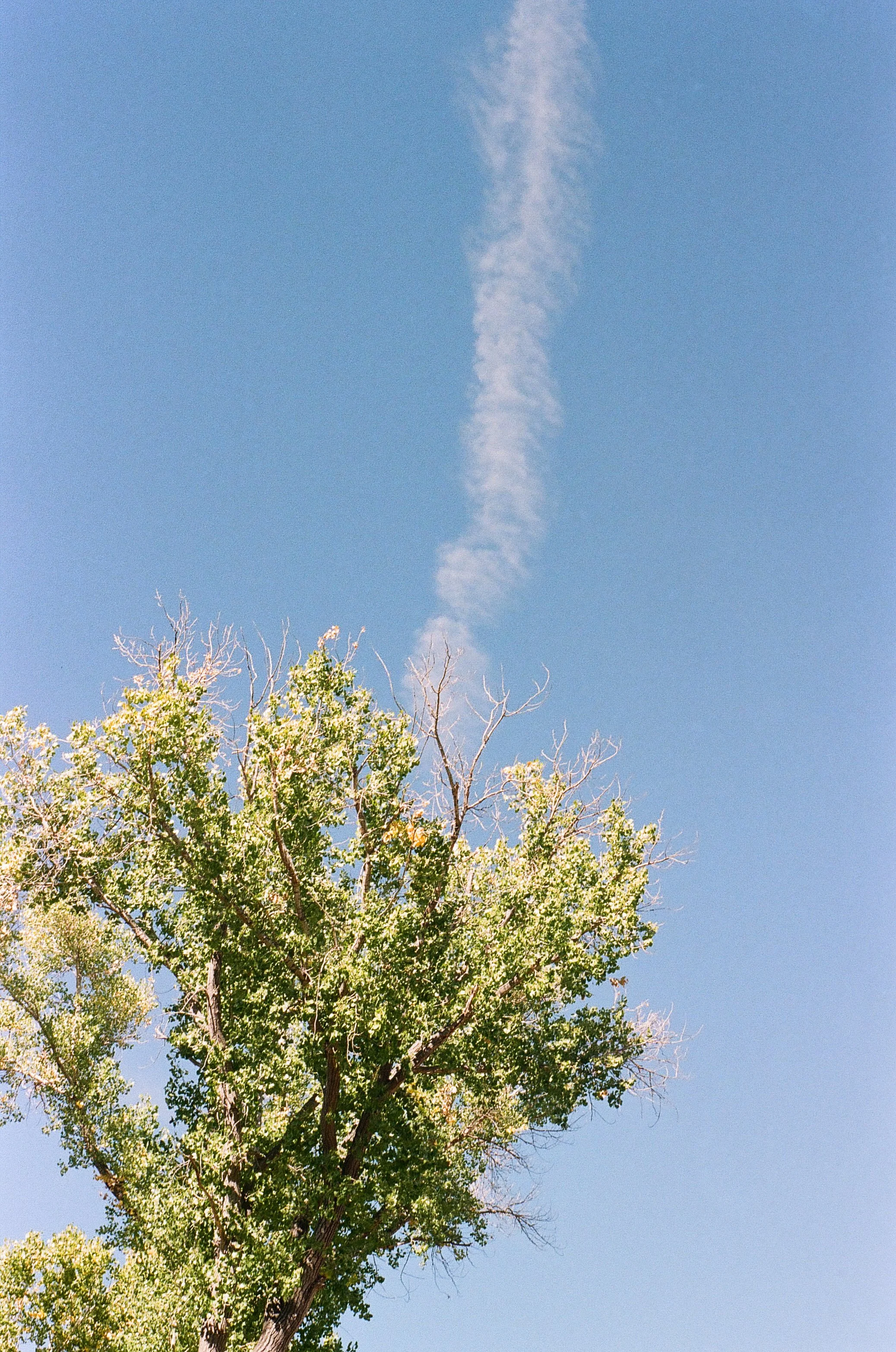 film_cam_2024_8.jpg