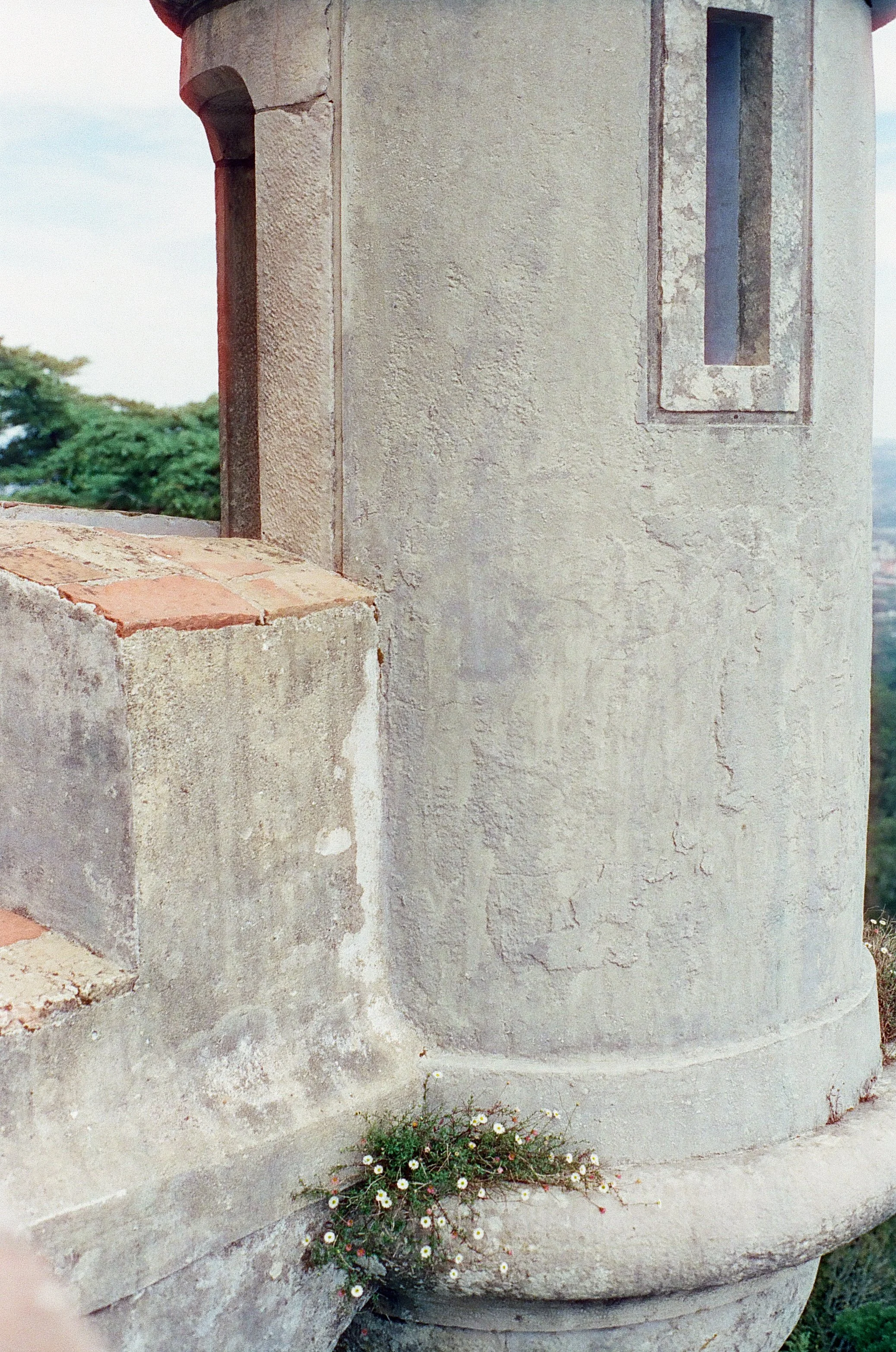 film_camino_2025_28.jpg