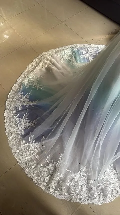 Ombre Wedding Dress (3).jpg