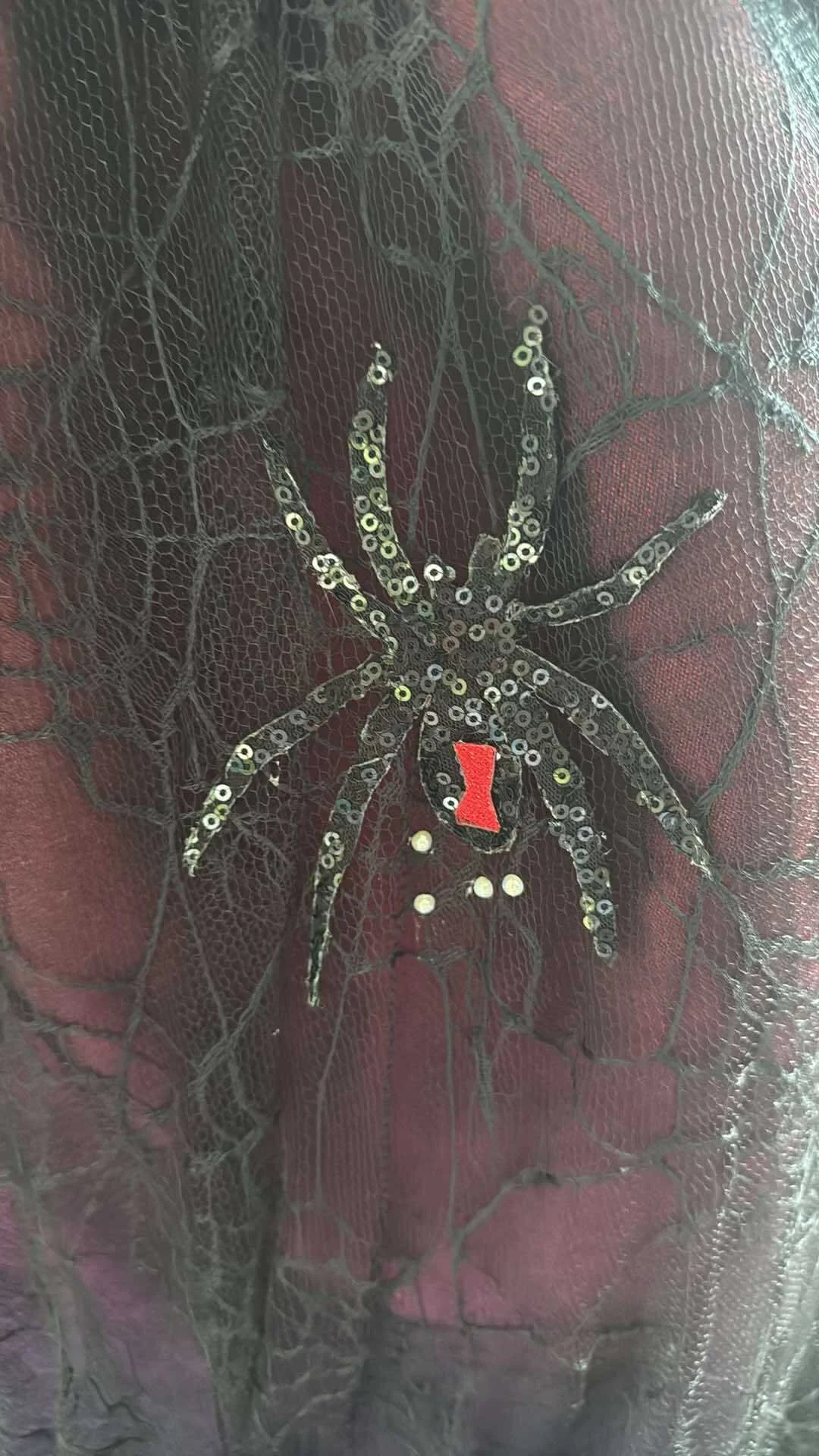 Ombre Gothic Spider Wedding Dress (19).jpg