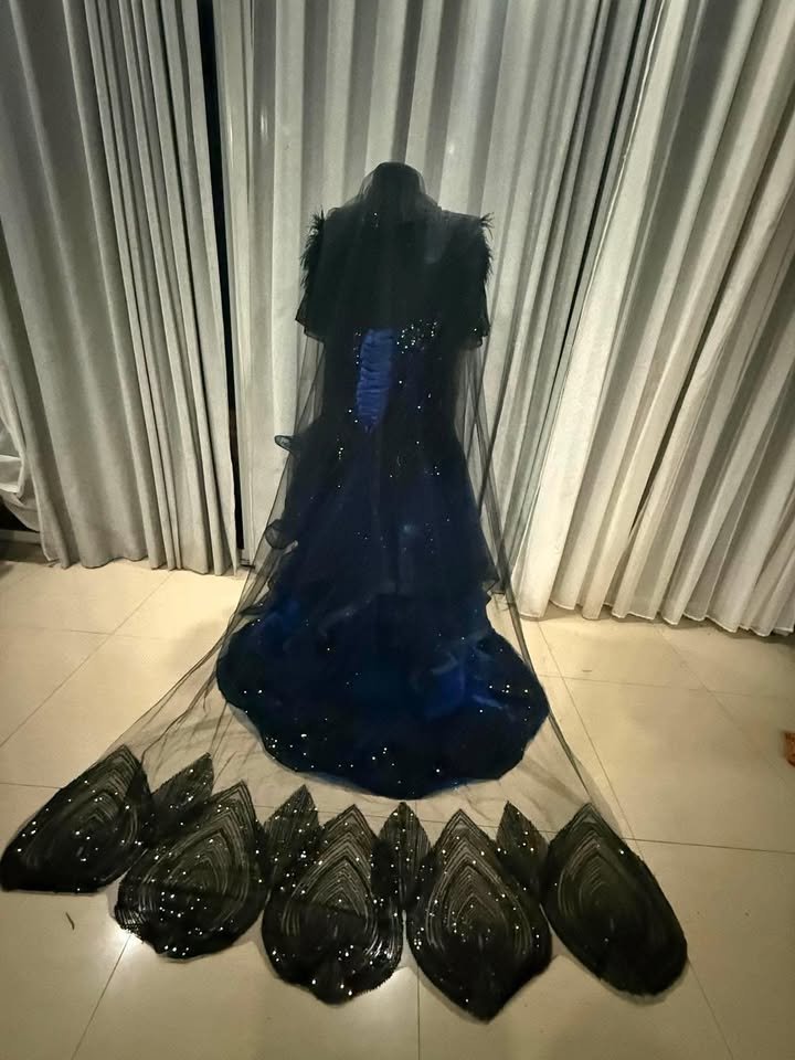 Custom Black & Royal Blue Gothic Wedding Dress Australia (5).jpg