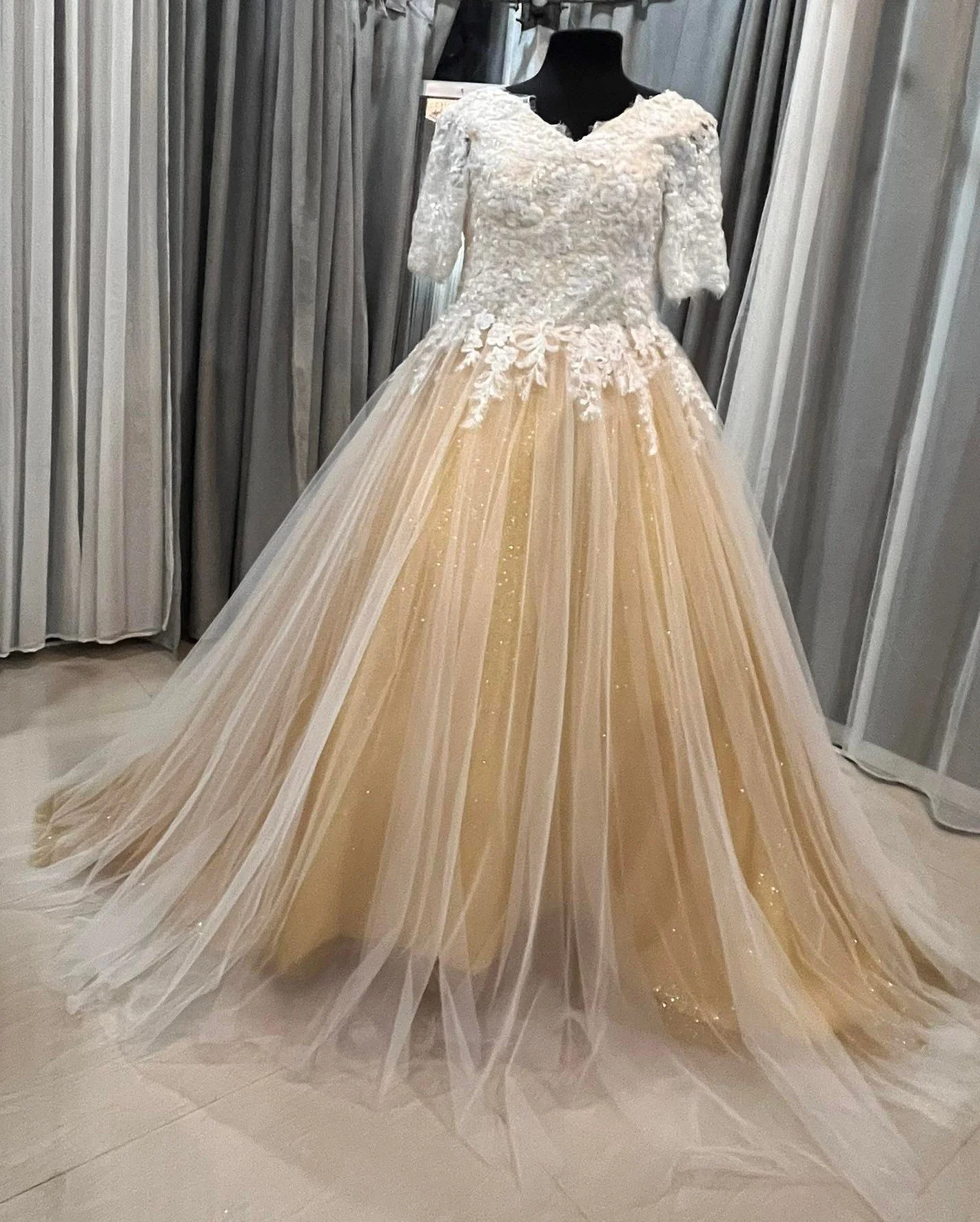 Beauty and The Beast Wedding Dress (10).jpg