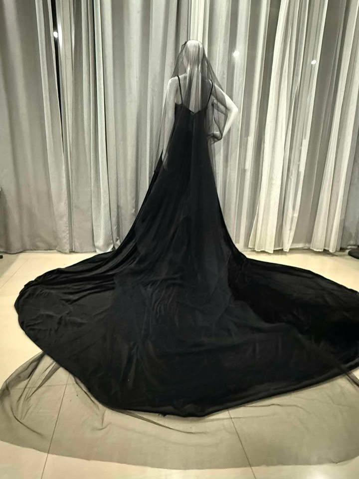 Black Velvet Wedding Gown (5).jpg