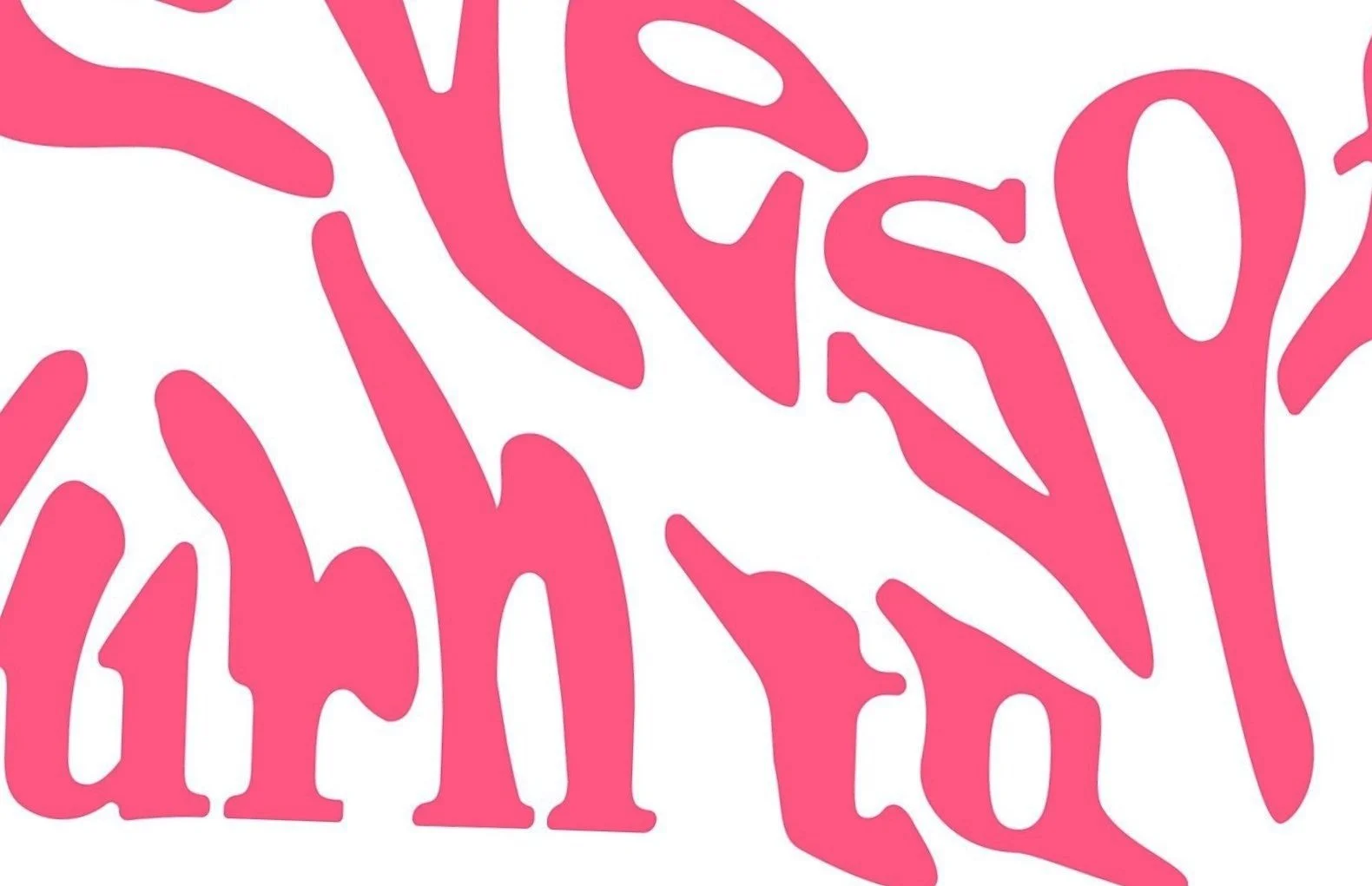 Expressive Type Book