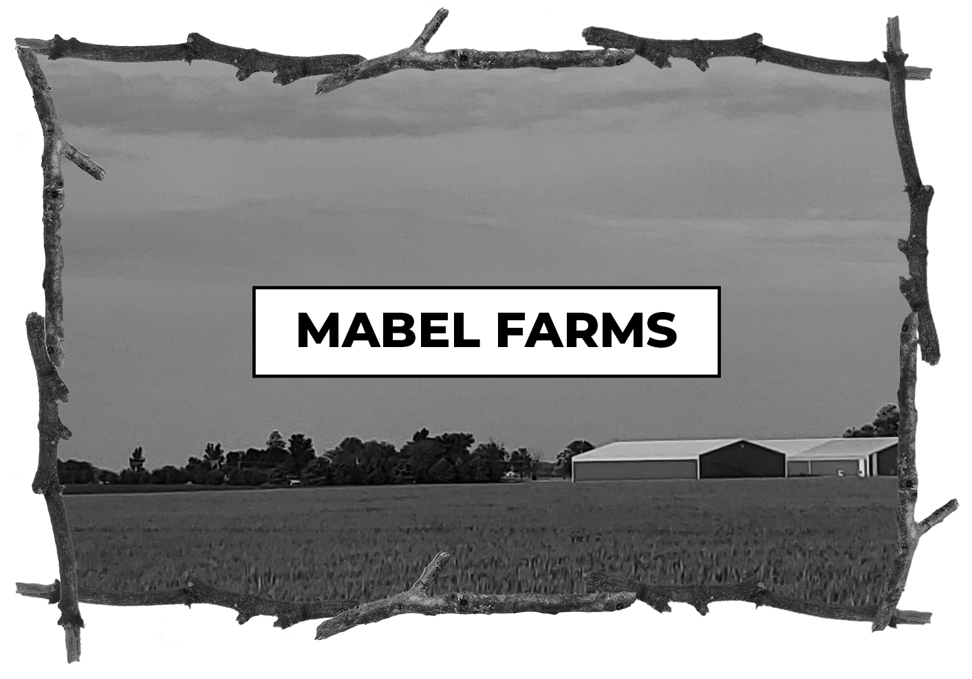 Stylized rustic cover card for a project case study