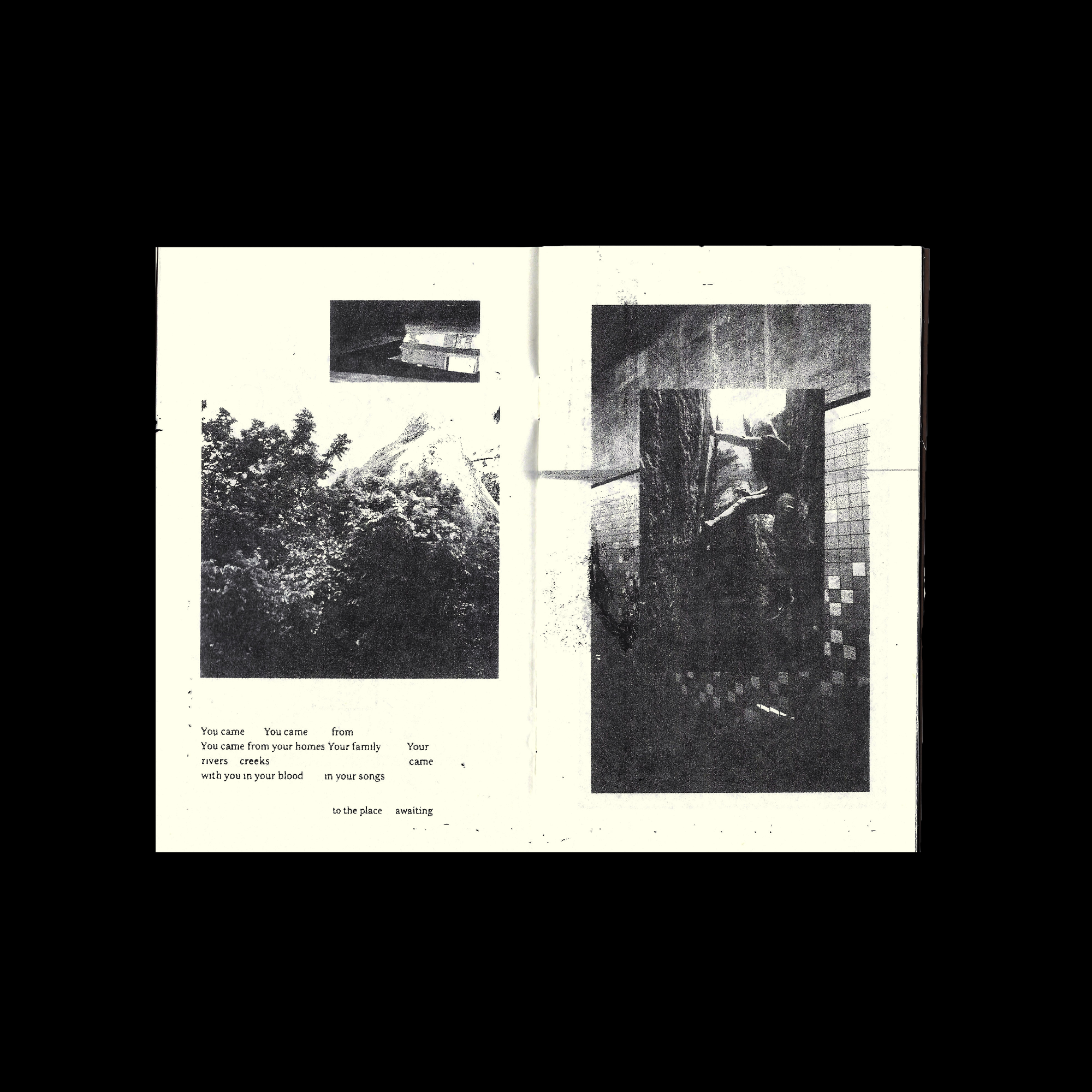 Lo-fi rugged zine, skate culture, photography, black and white, minimal, gritty, graphic design