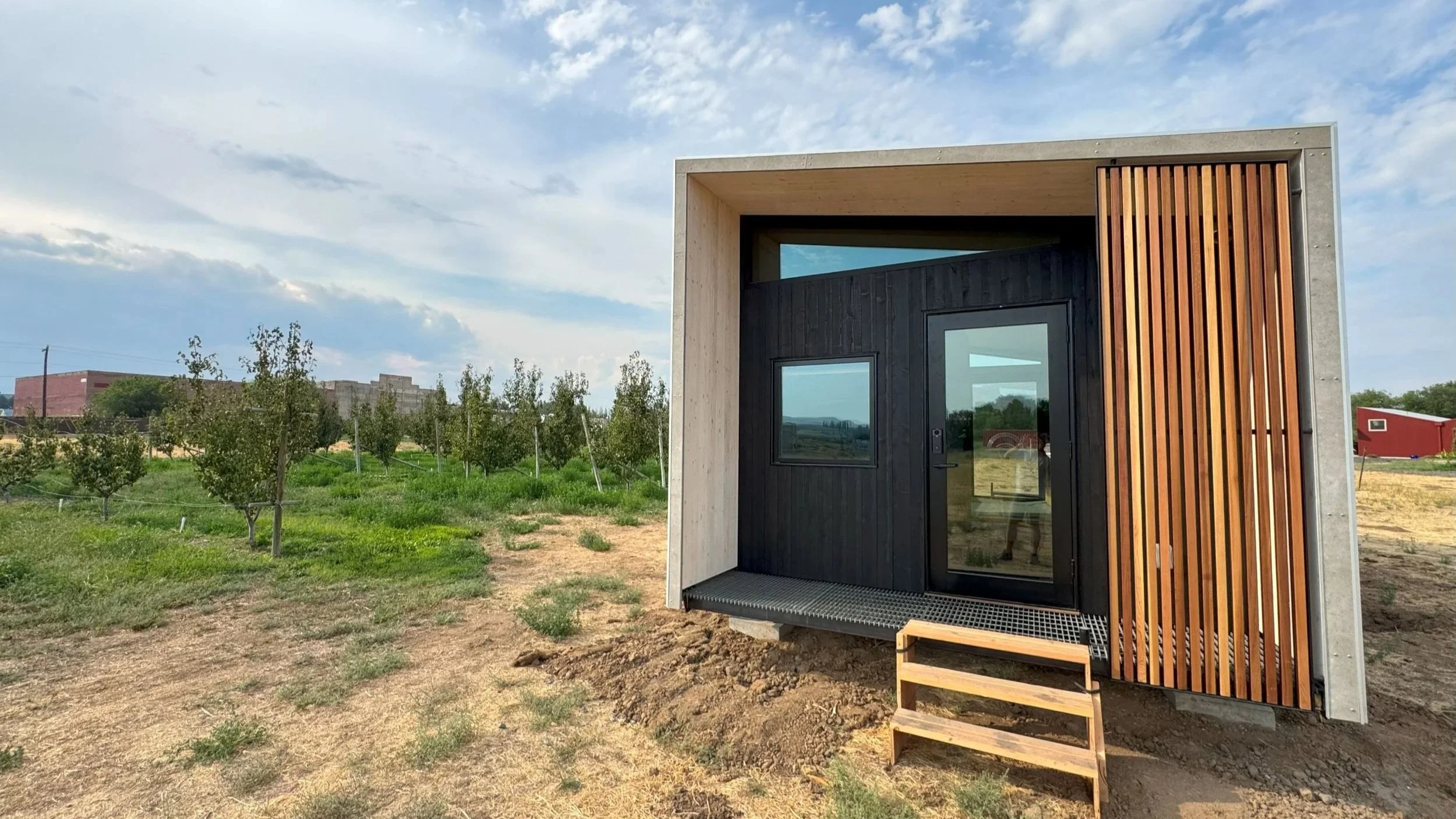 Building with the Forest: The Promise of Mass Timber