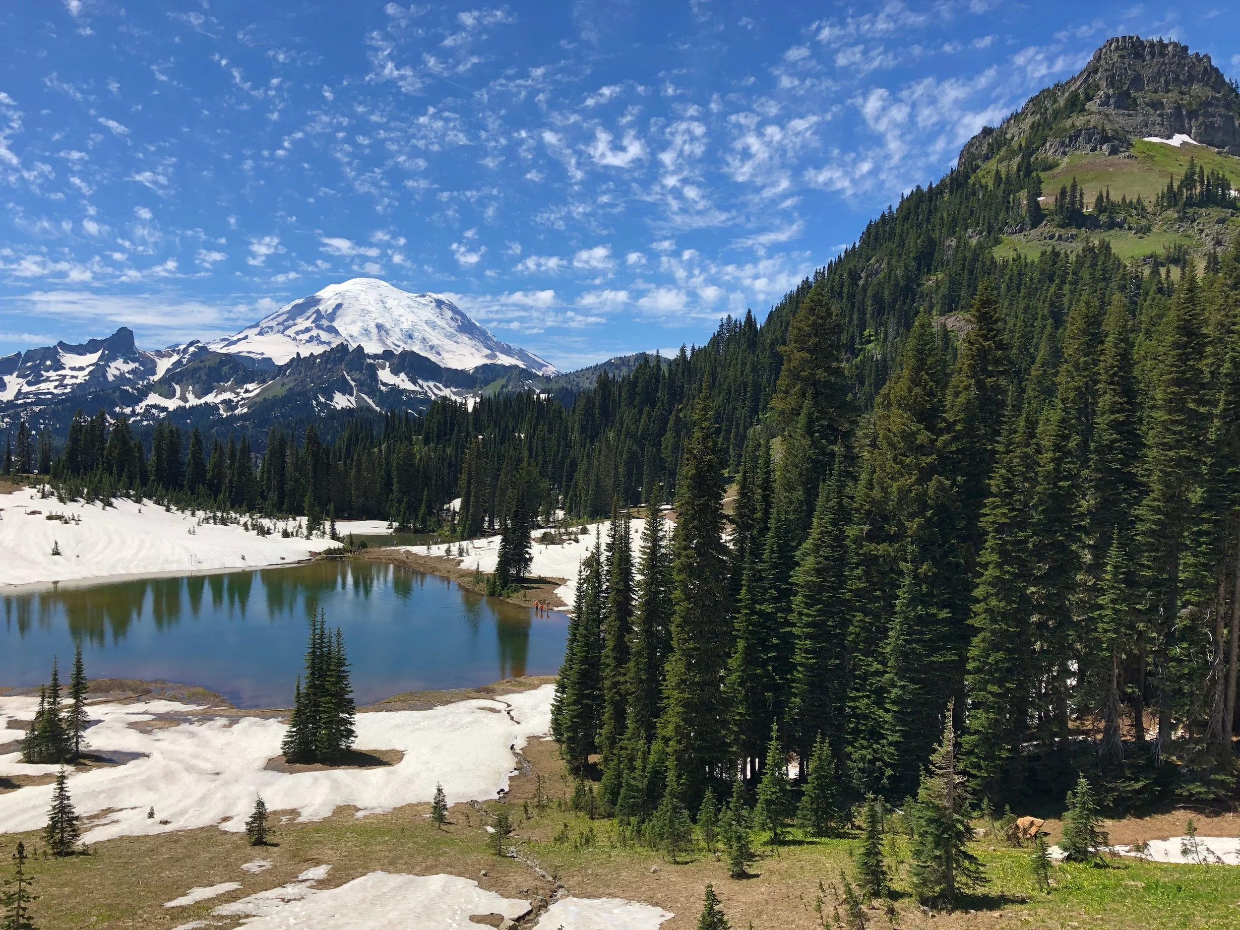 BUY — Tieton Cabin CompanyTieton Cabin Company