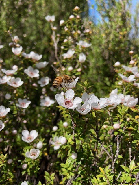 thumbnail_IMG_7688.jpg