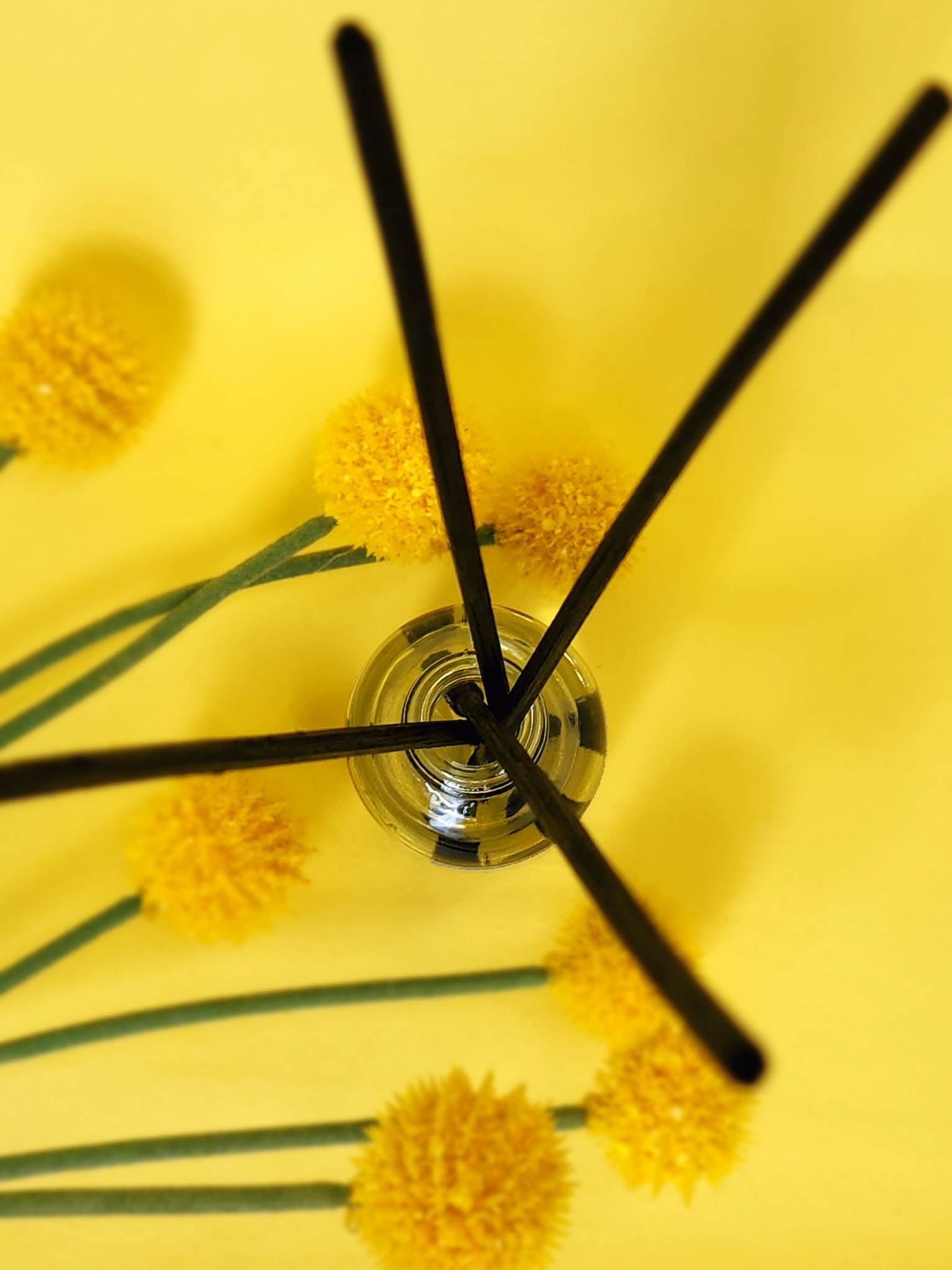 lemonhoneydiffuser(2).jpeg